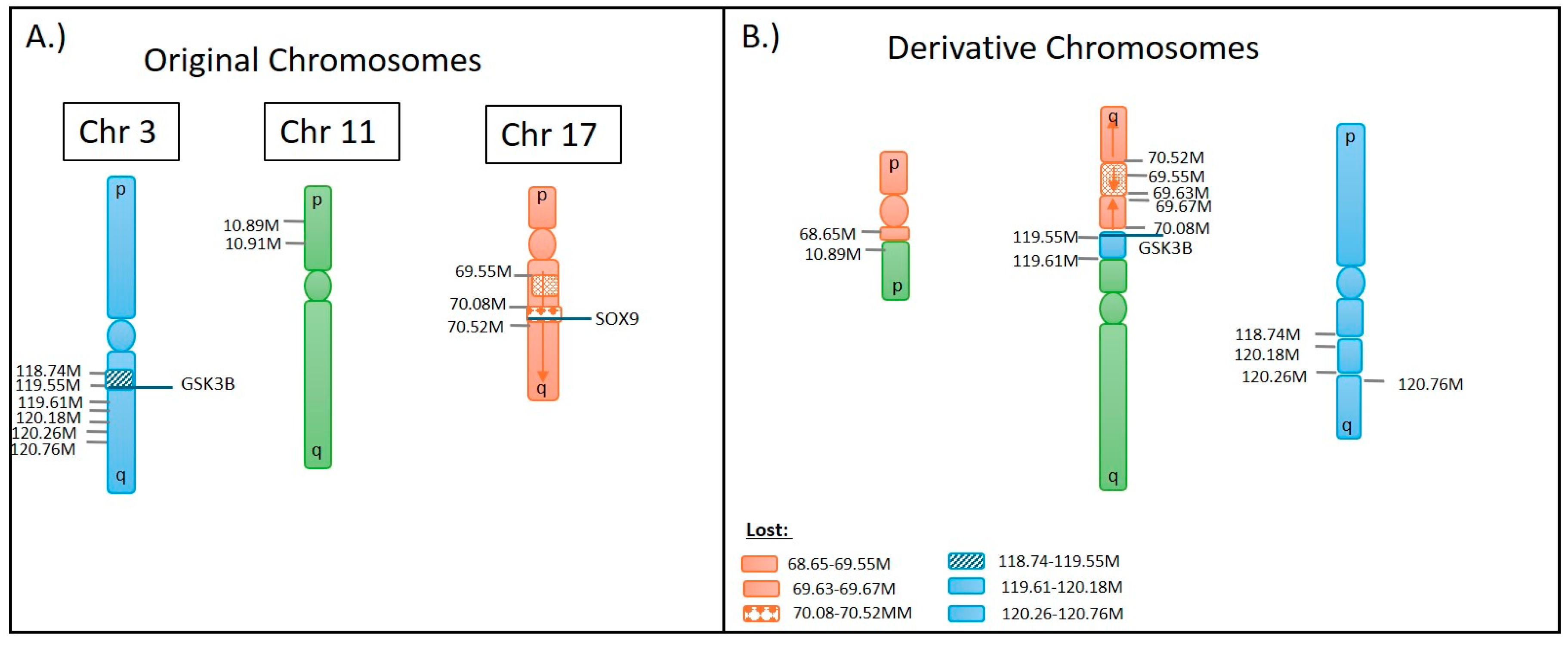 Biomedicines 12 01659 g010