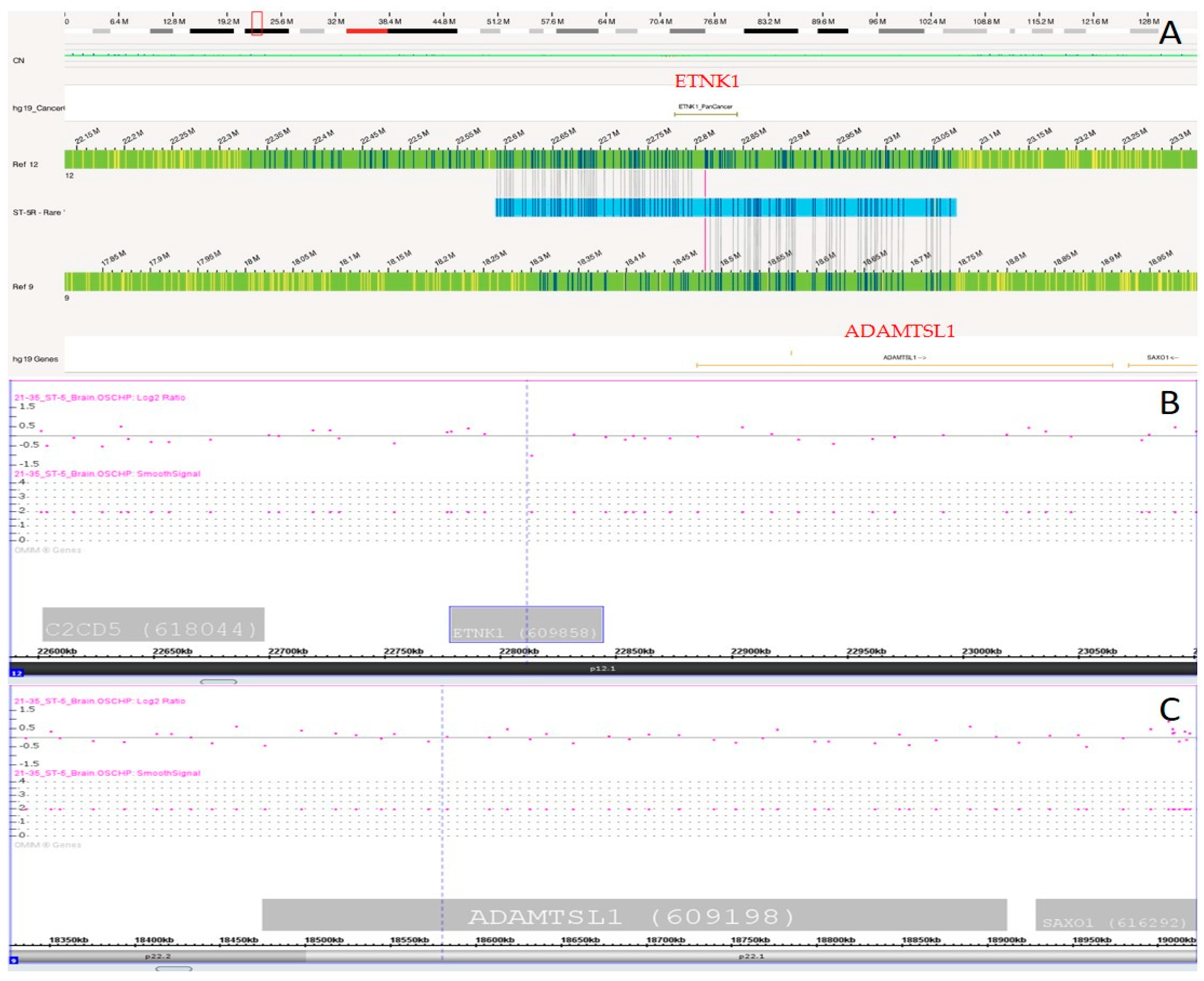 Biomedicines 12 01659 g011