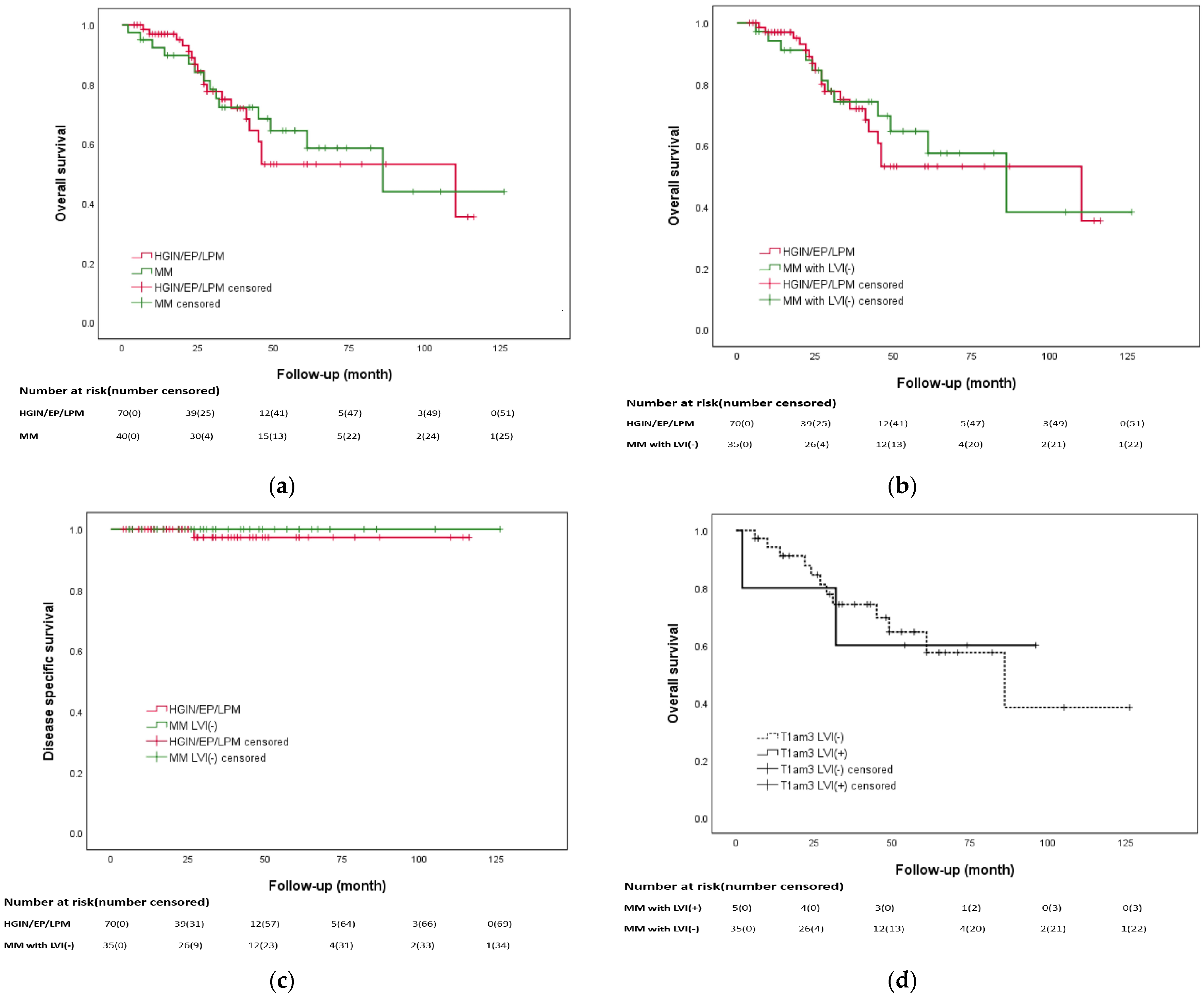 Biomedicines 12 01660 g002