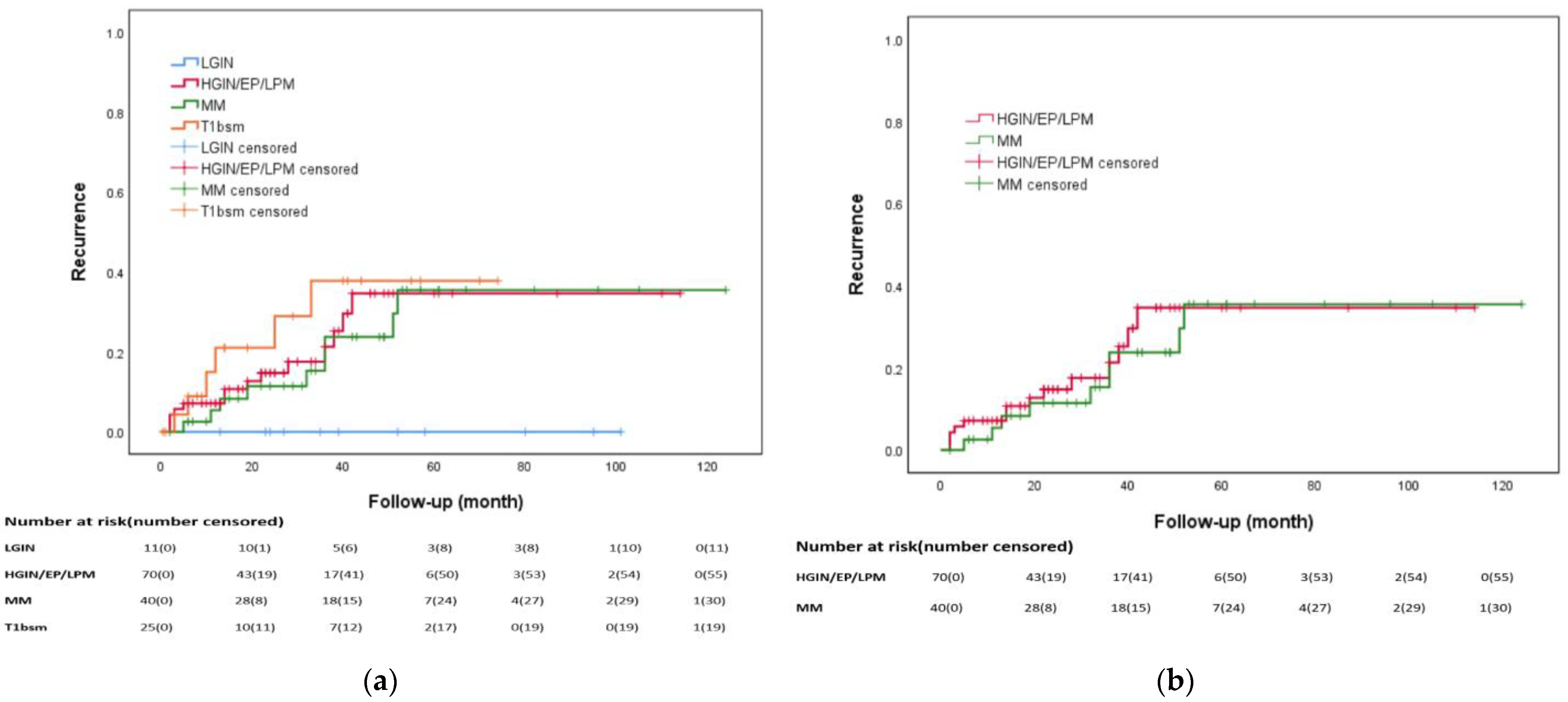 Biomedicines 12 01660 g003