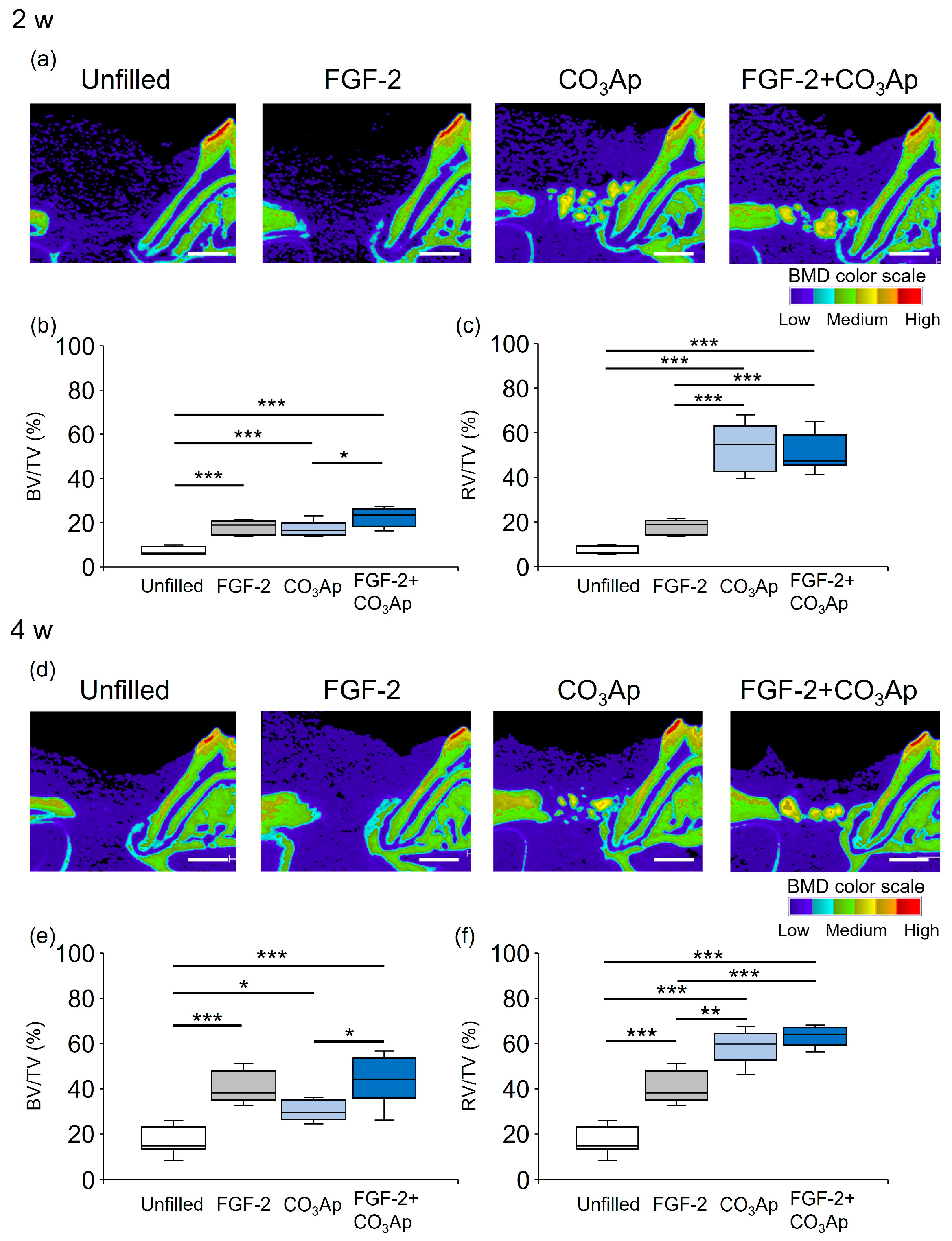 Biomedicines 12 01664 g001