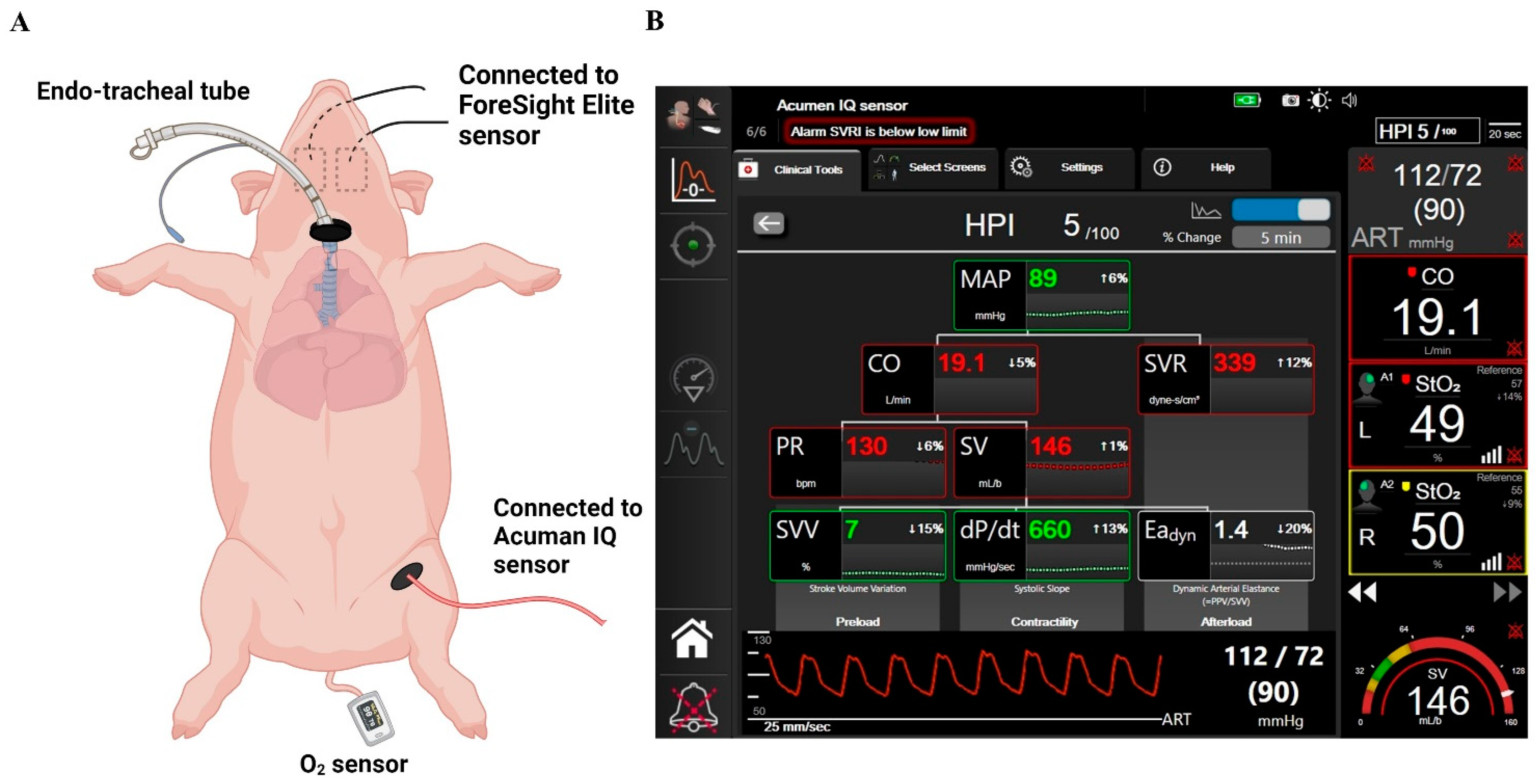 Biomedicines 12 01665 g001