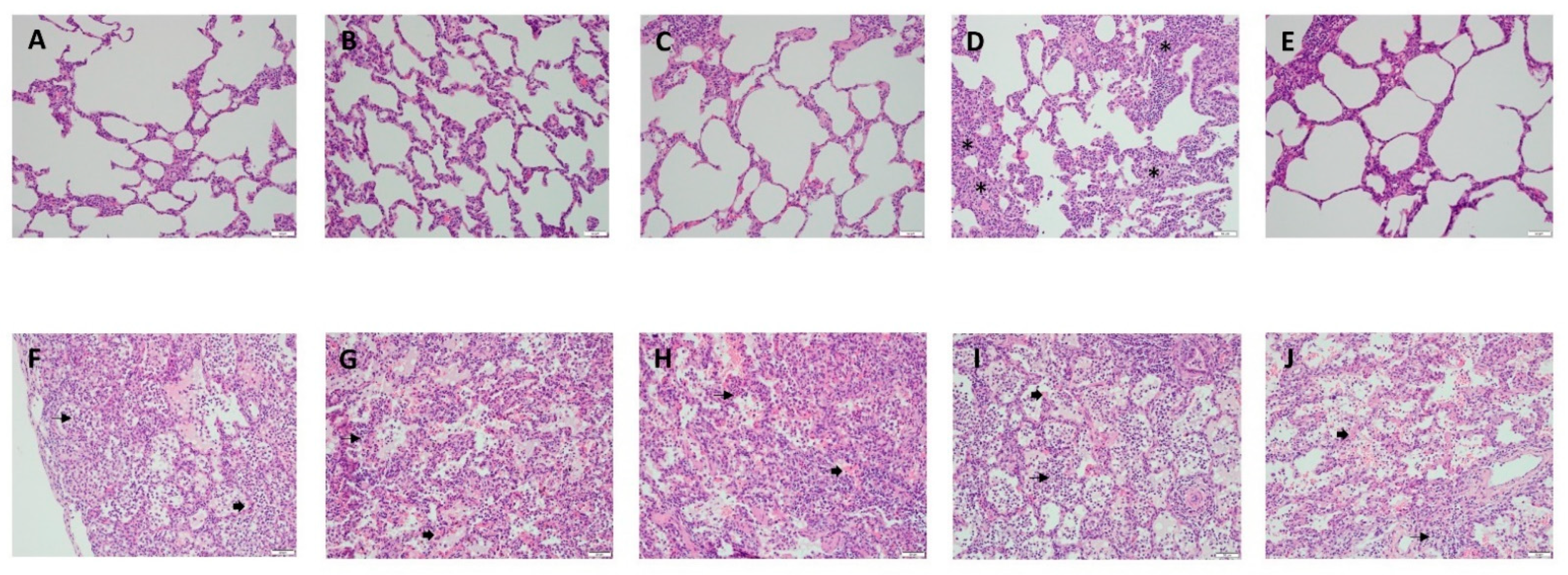 Biomedicines 12 01665 g004