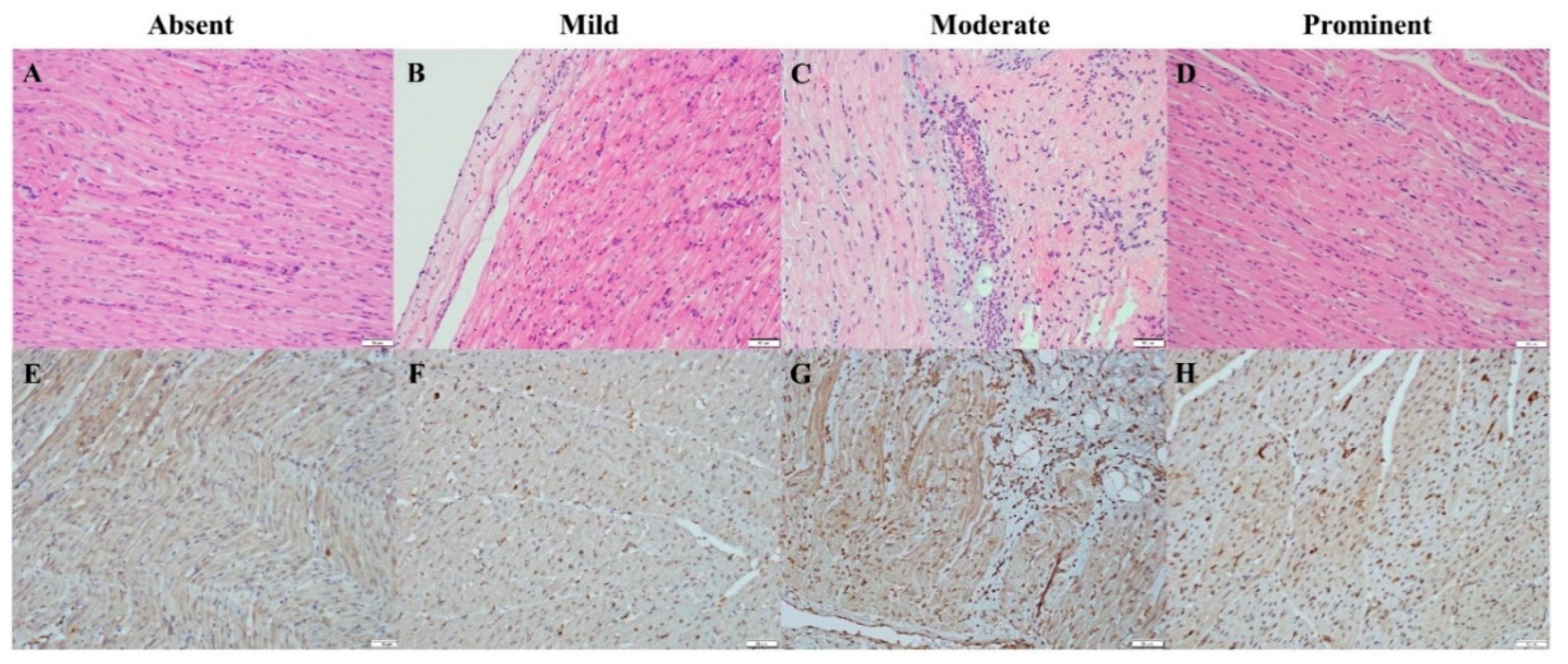 Biomedicines 12 01665 g007