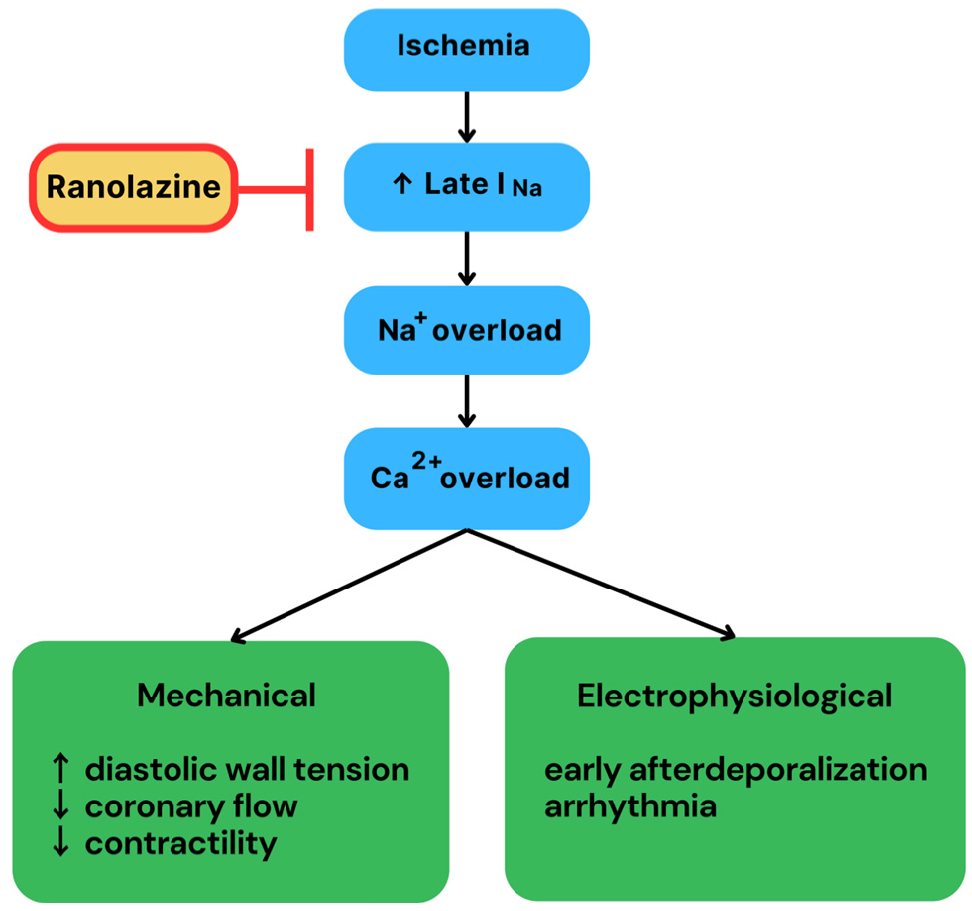 Biomedicines 12 01669 g001