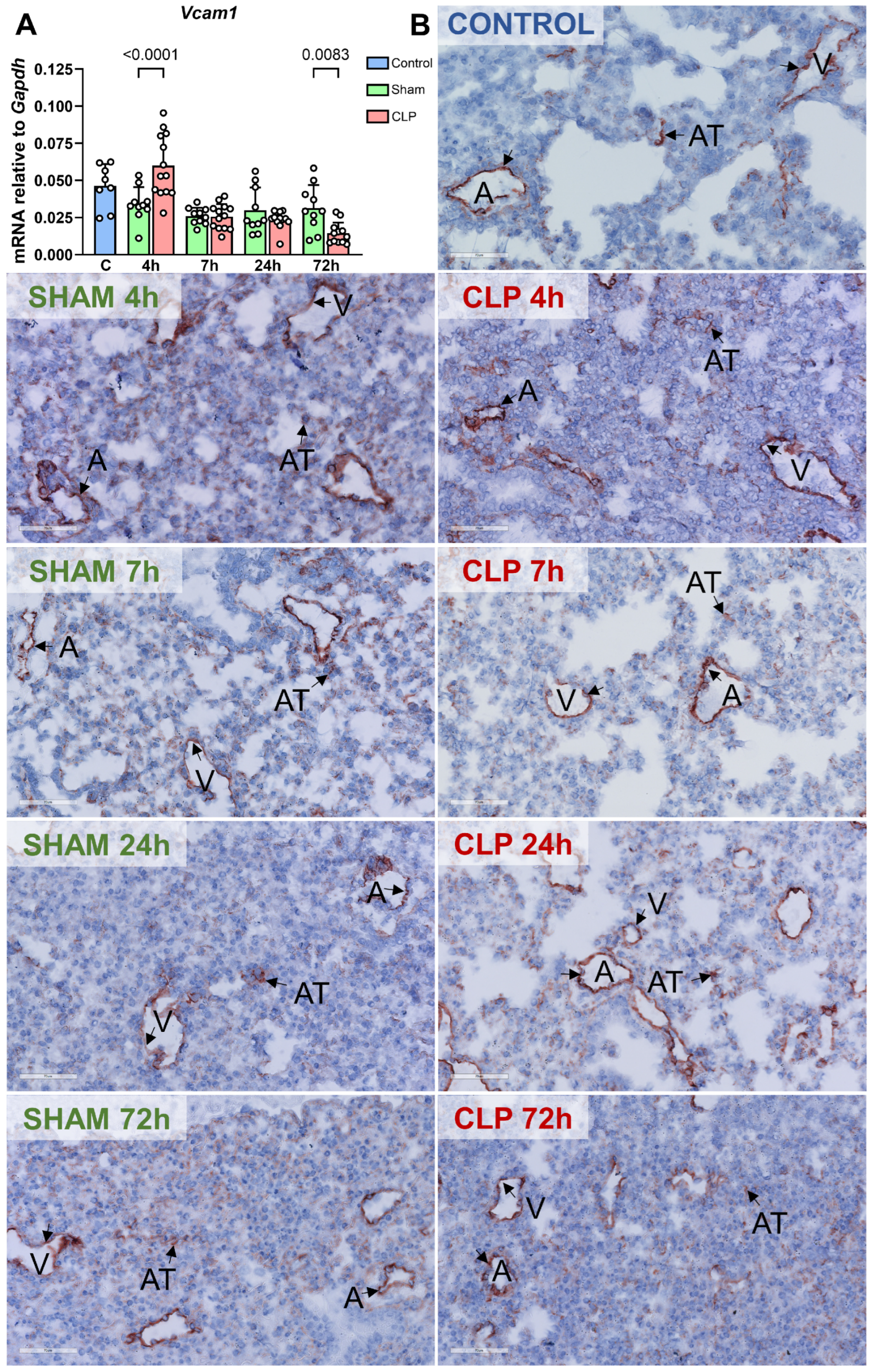 Biomedicines 12 01672 g005 Biomedicines 12 01672 g005