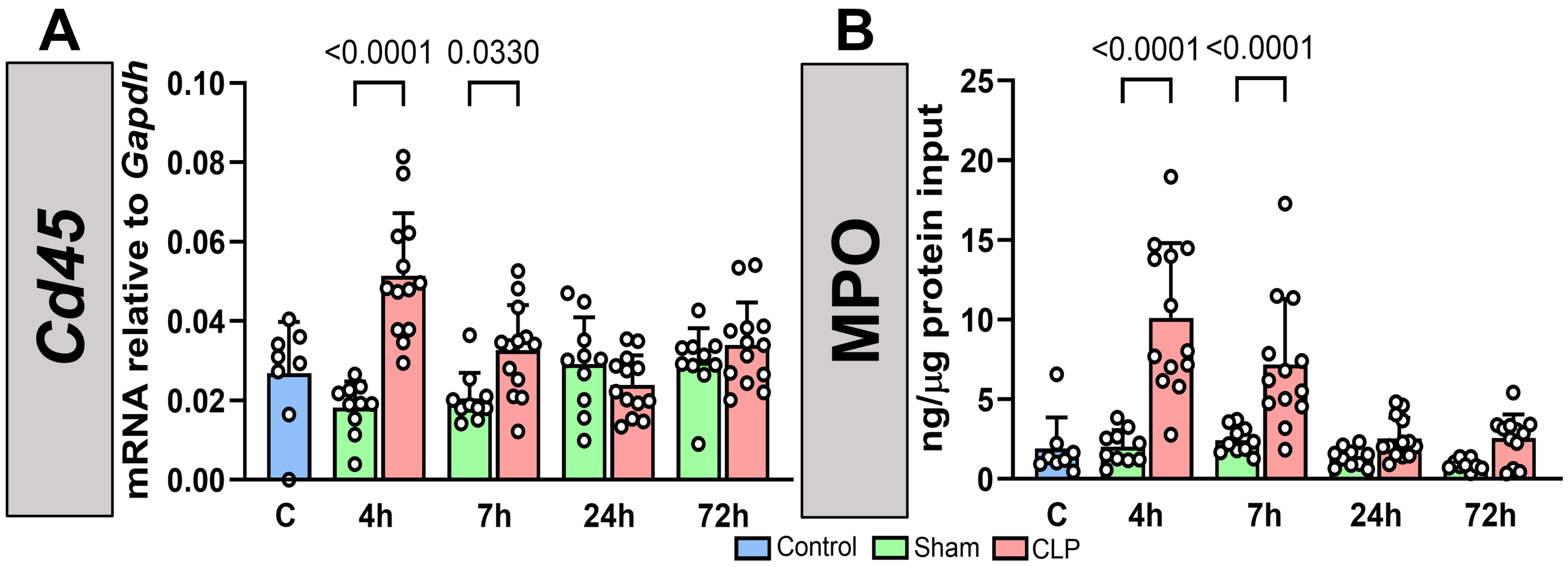 Biomedicines 12 01672 g006 Biomedicines 12 01672 g006