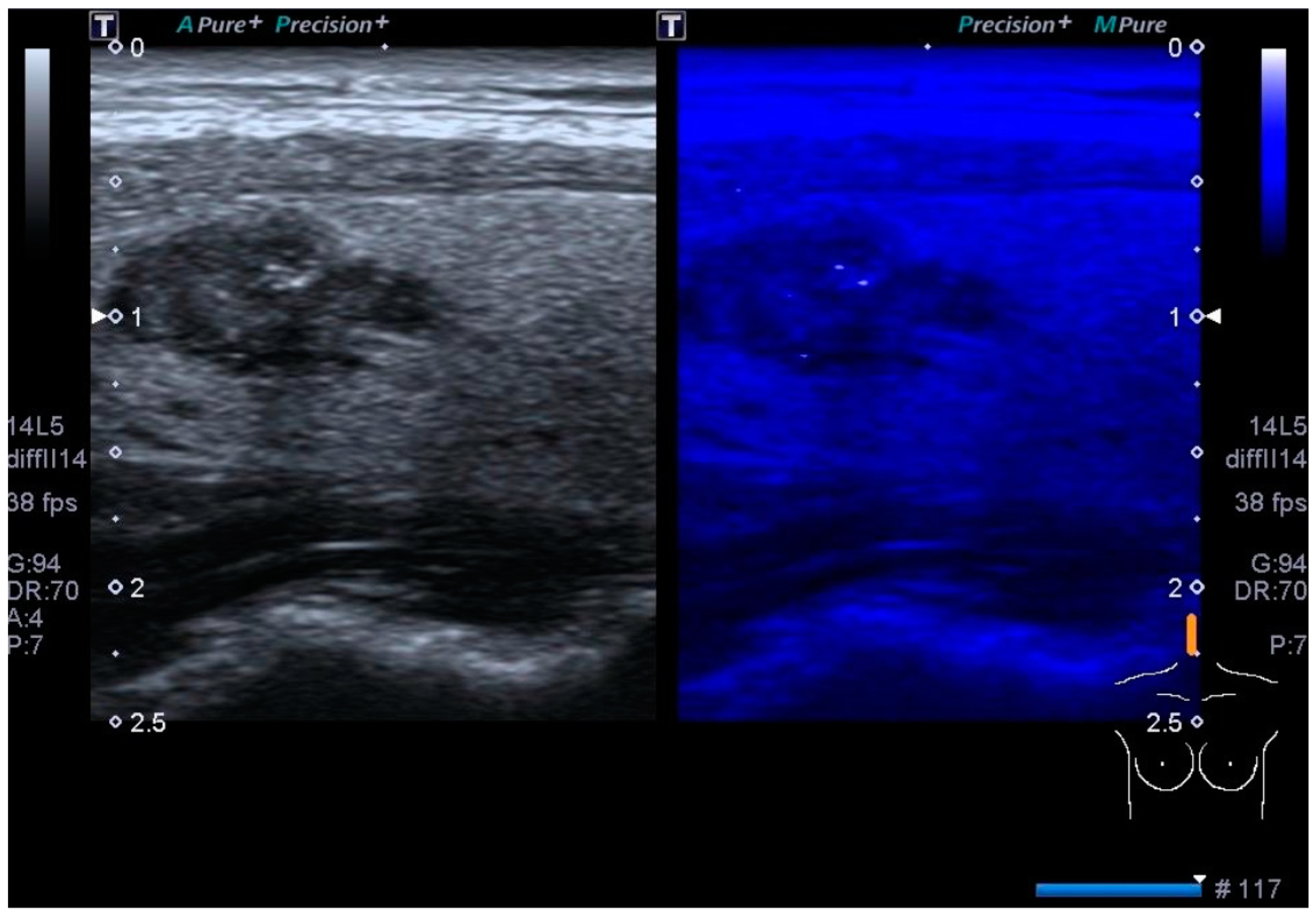 Biomedicines 12 01676 g001