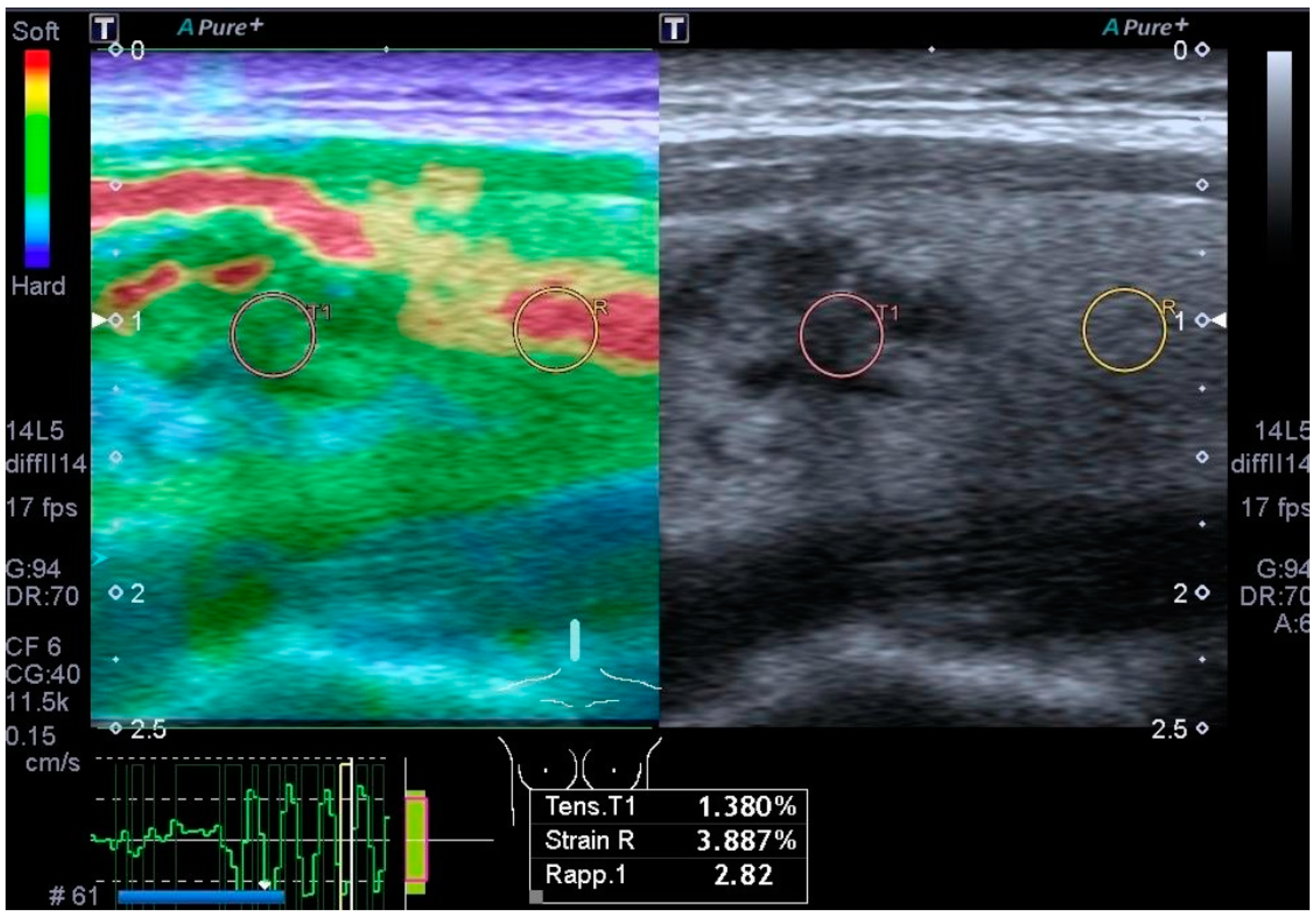 Biomedicines 12 01676 g002