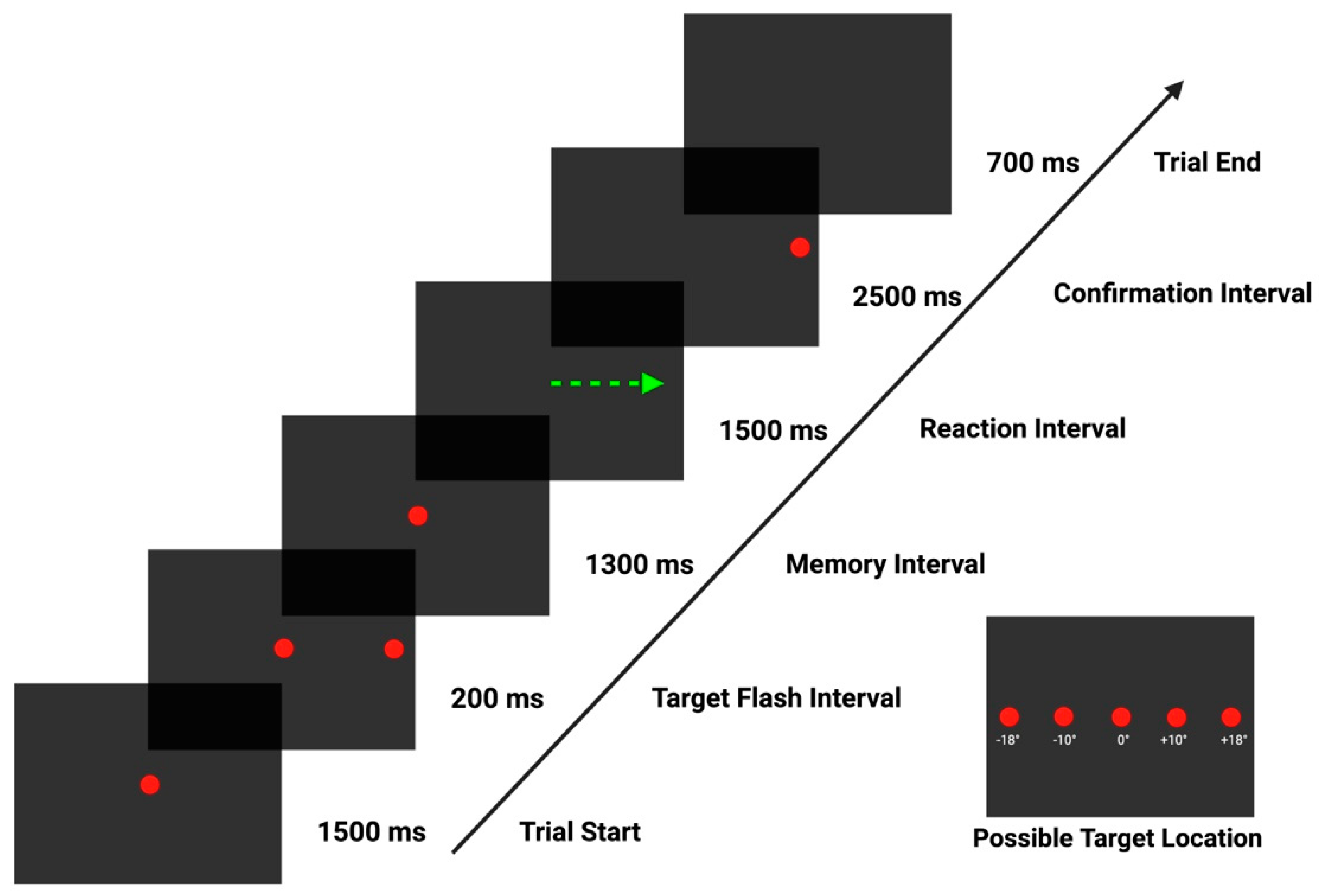 Biomedicines 12 01678 g001 Biomedicines 12 01678 g001