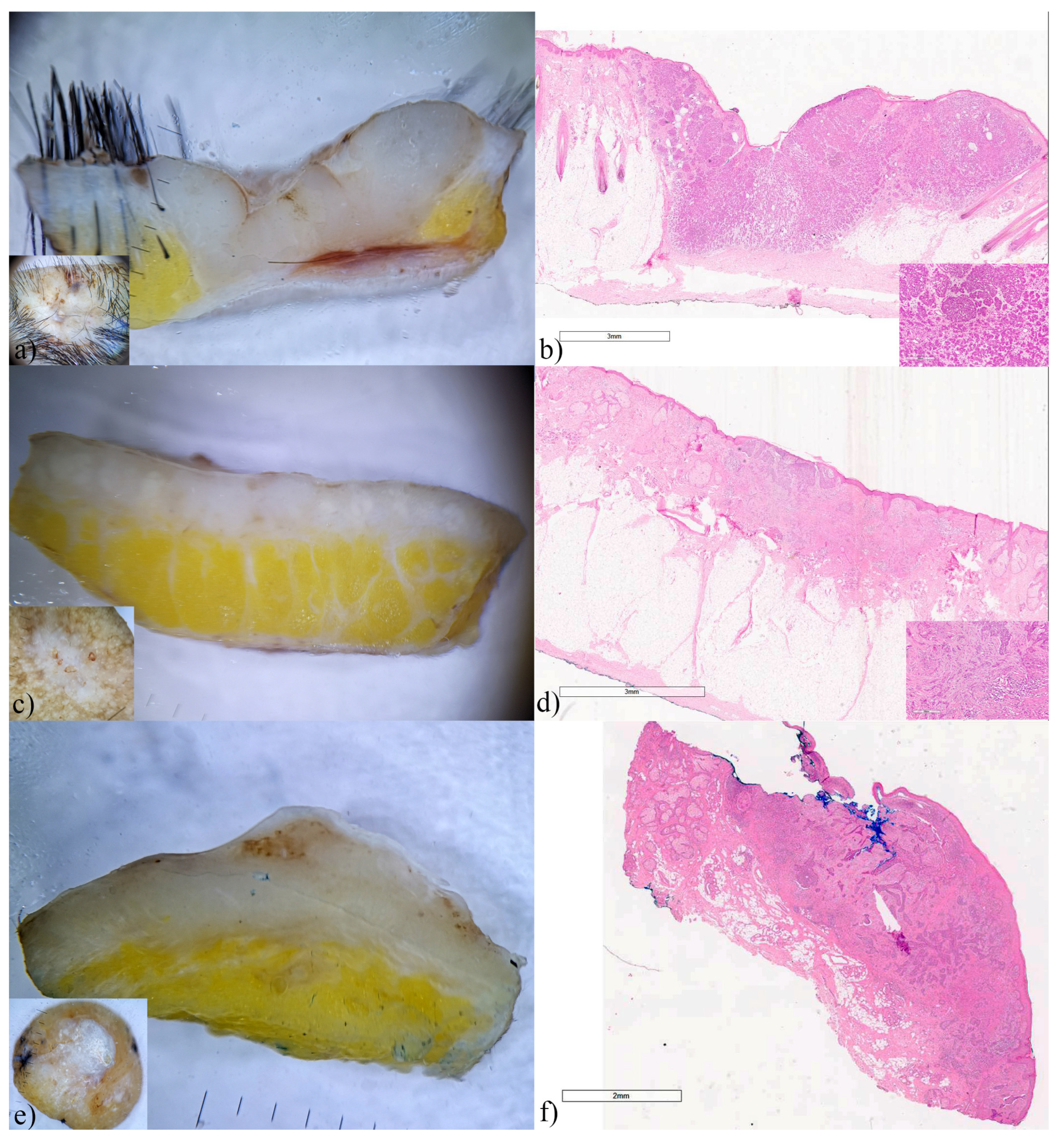 Biomedicines 12 01683 g004