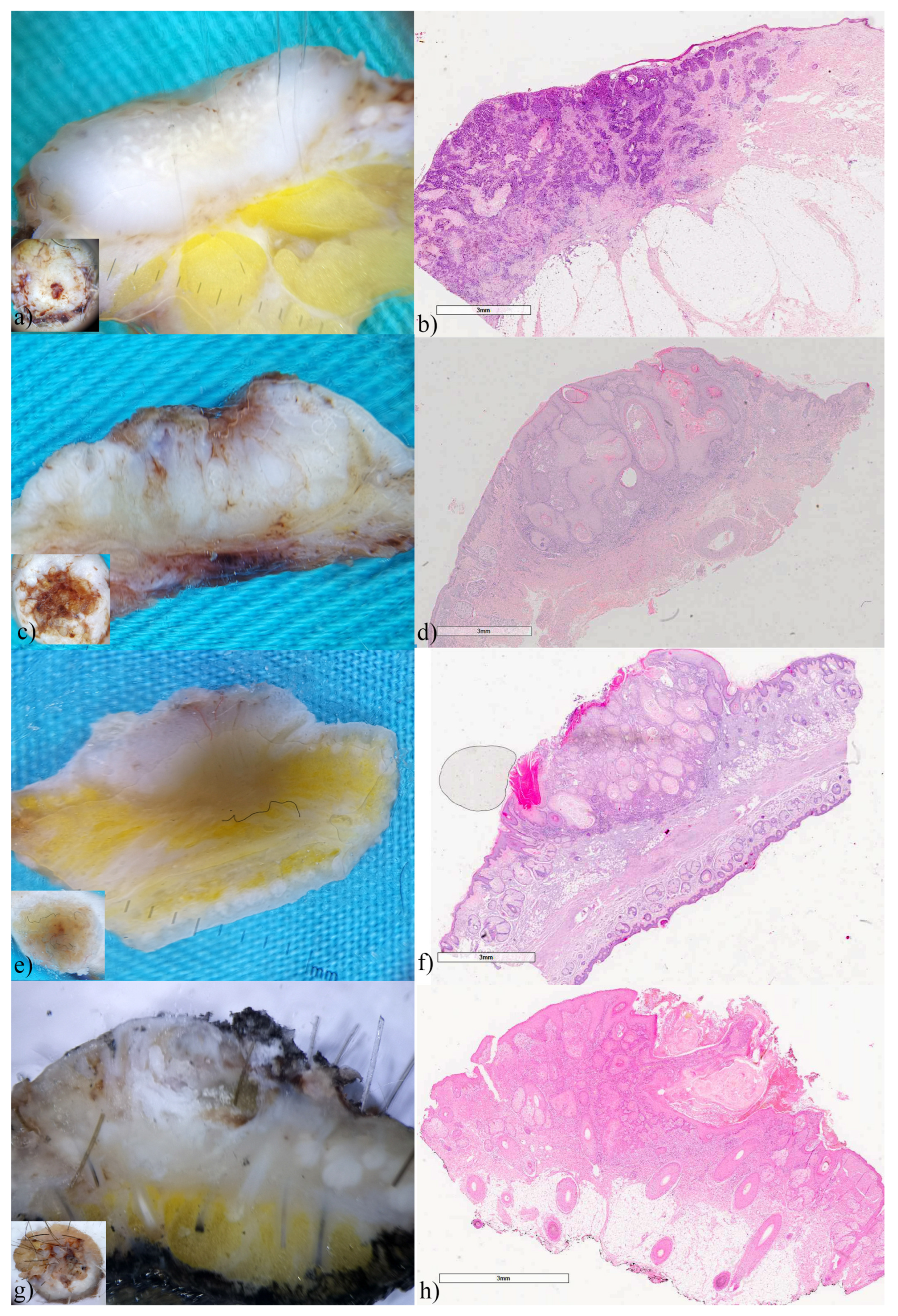 Biomedicines 12 01683 g006
