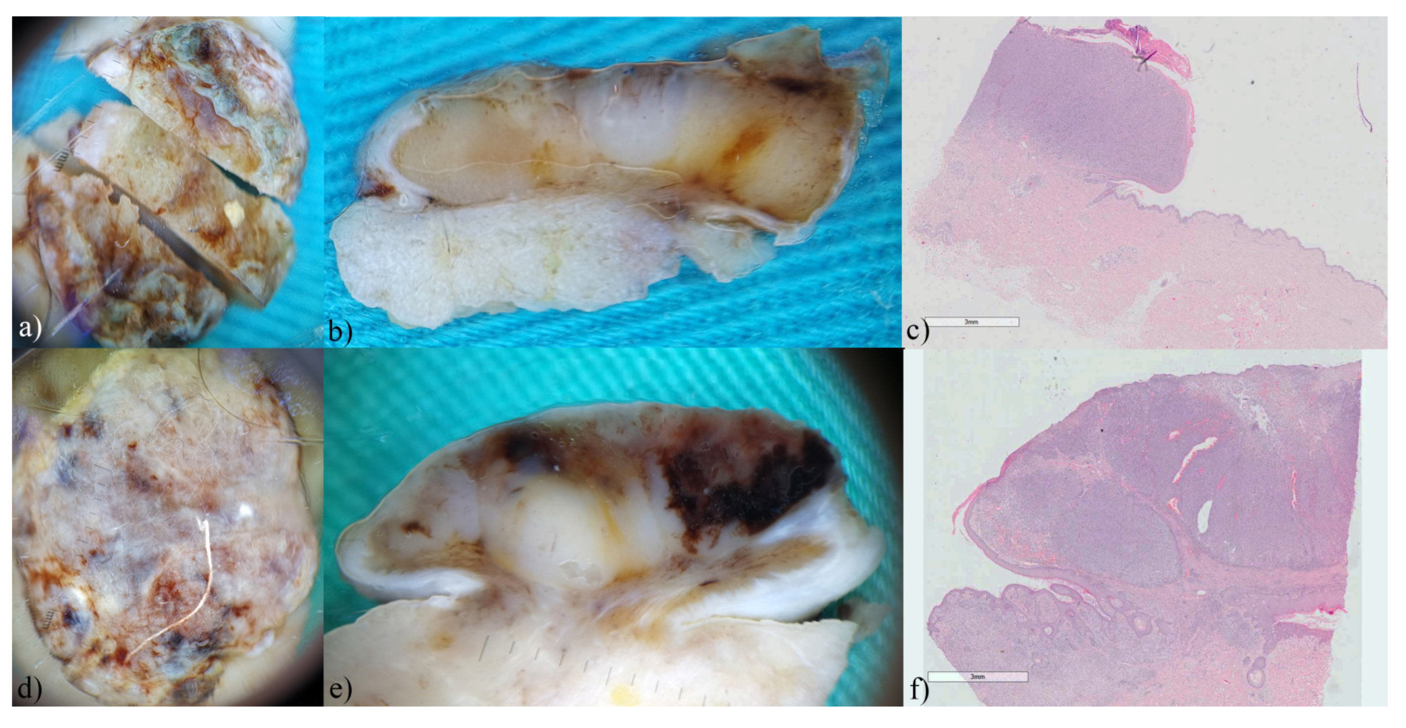 Biomedicines 12 01683 g008