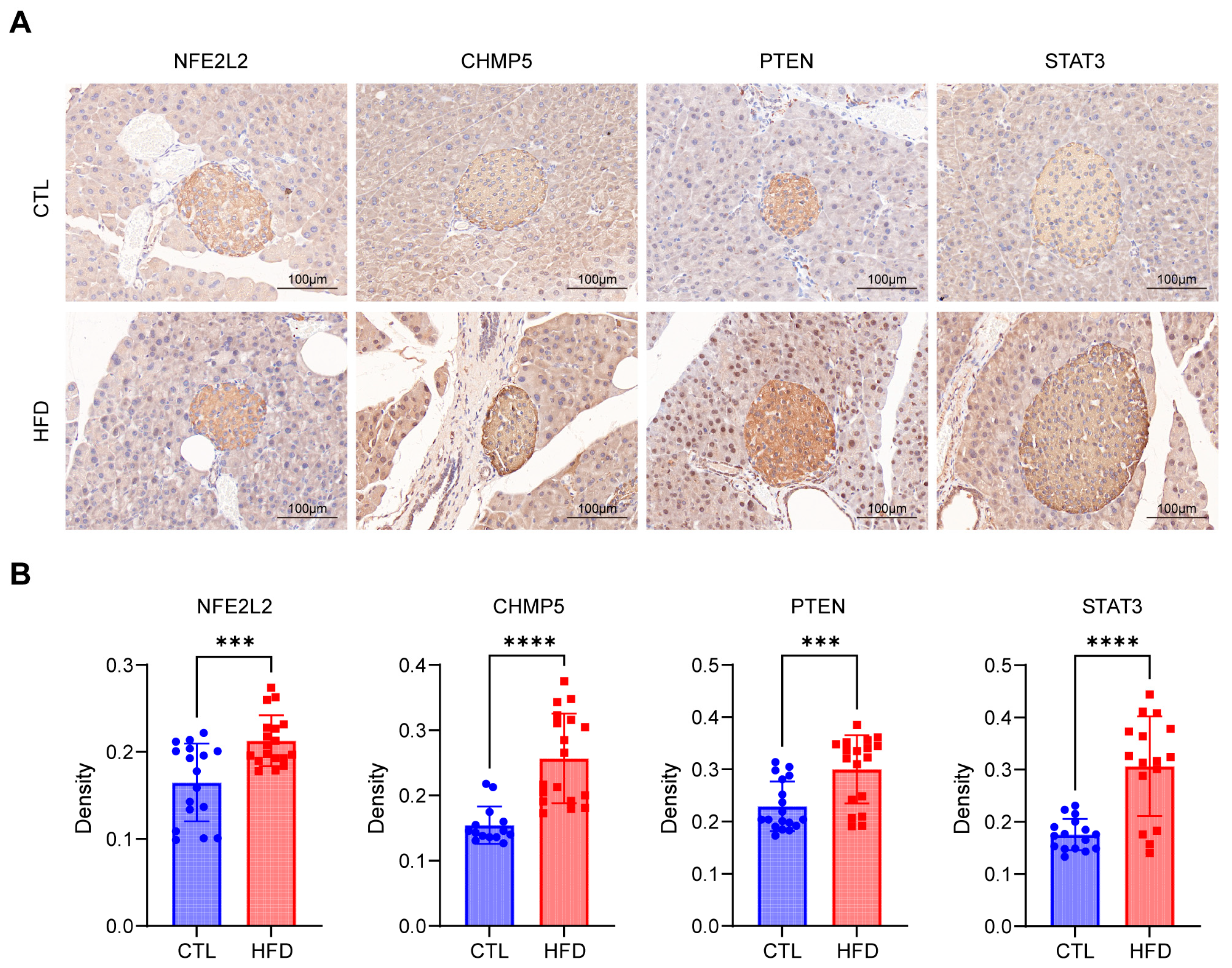Biomedicines 12 01687 g011