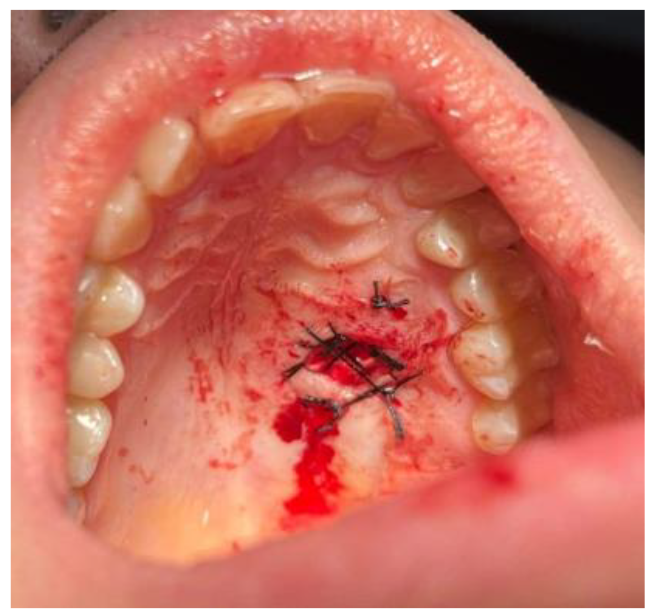 Biomedicines 12 01688 g003