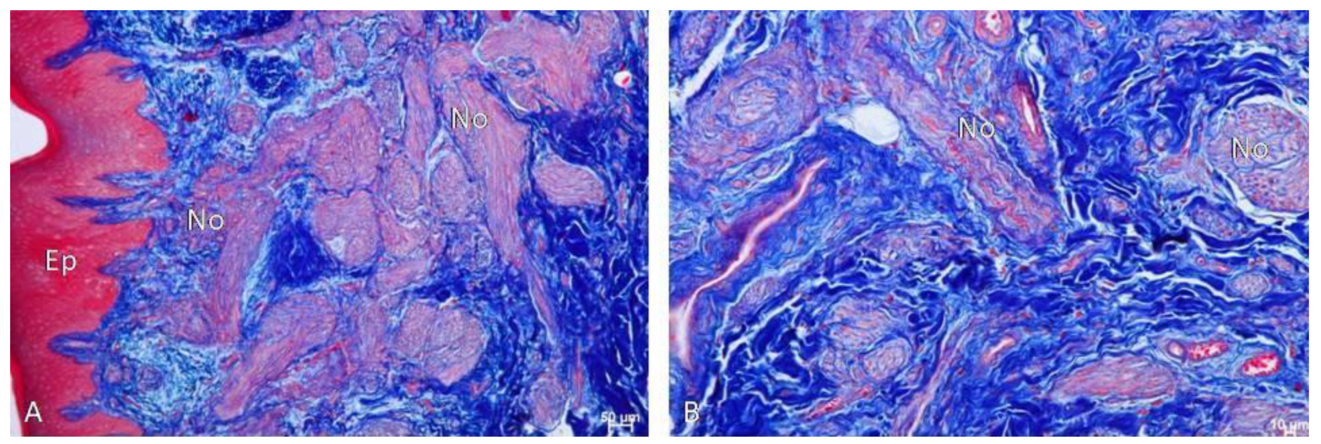 Biomedicines 12 01688 g010