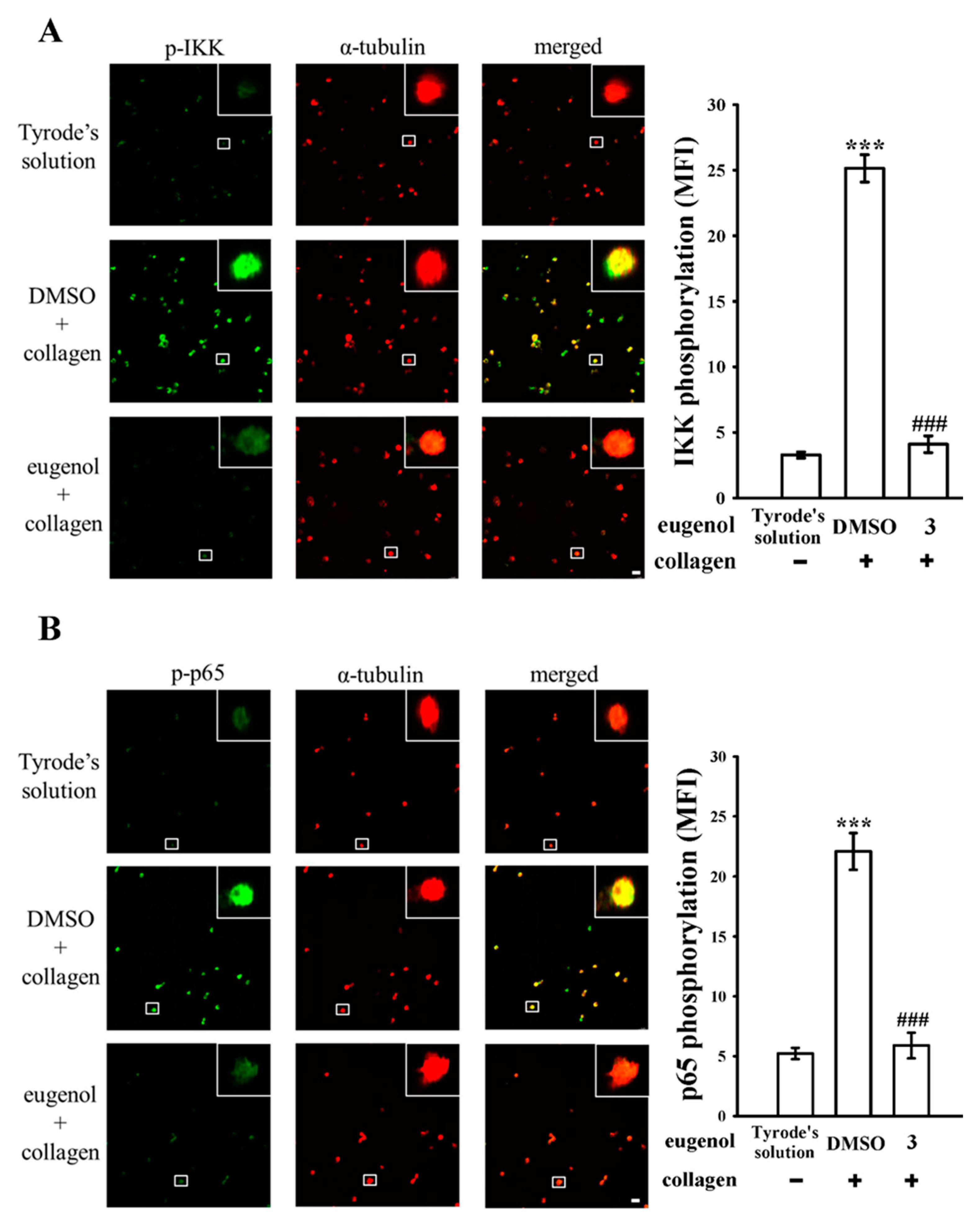 Biomedicines 12 01689 g002