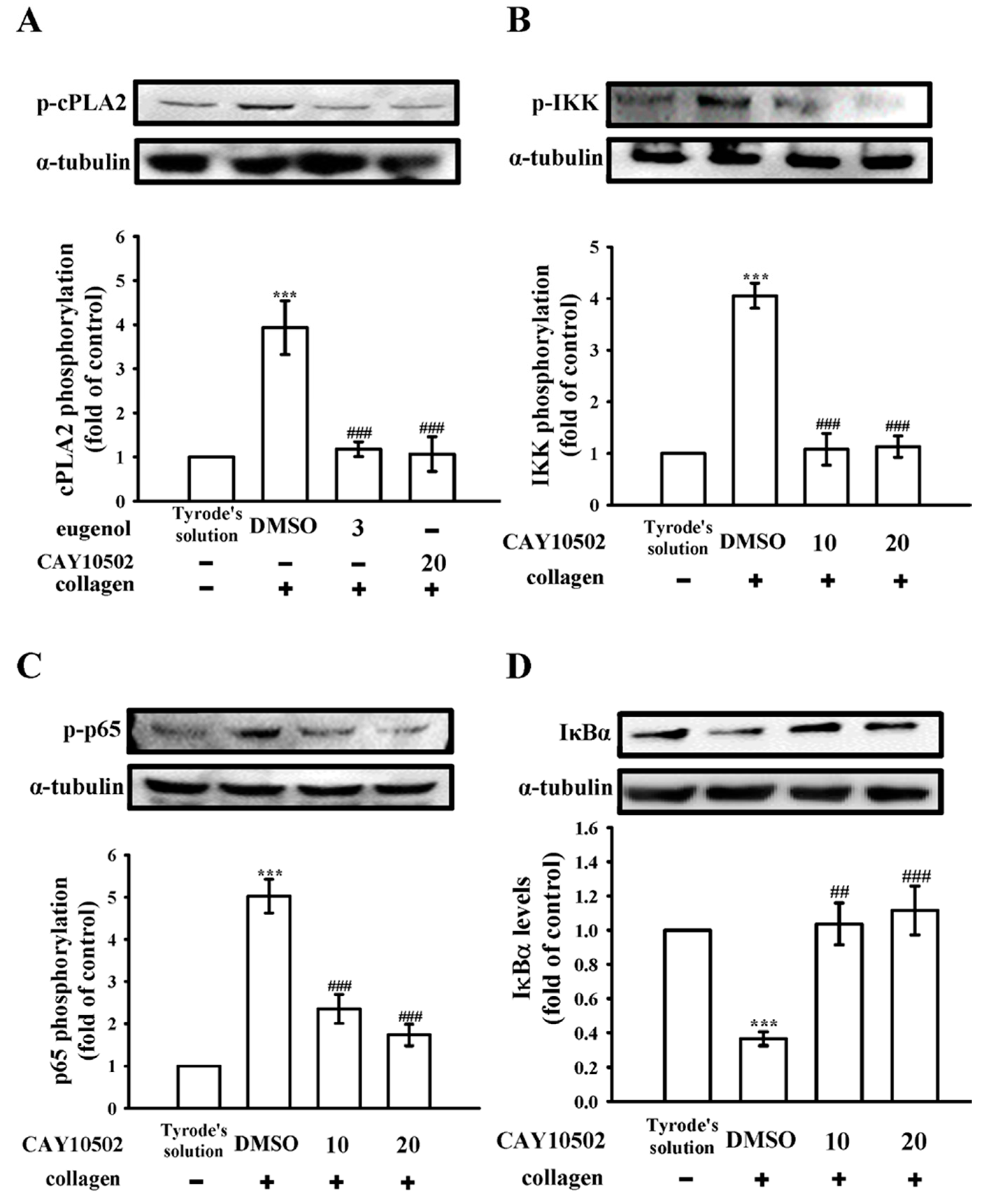 Biomedicines 12 01689 g003