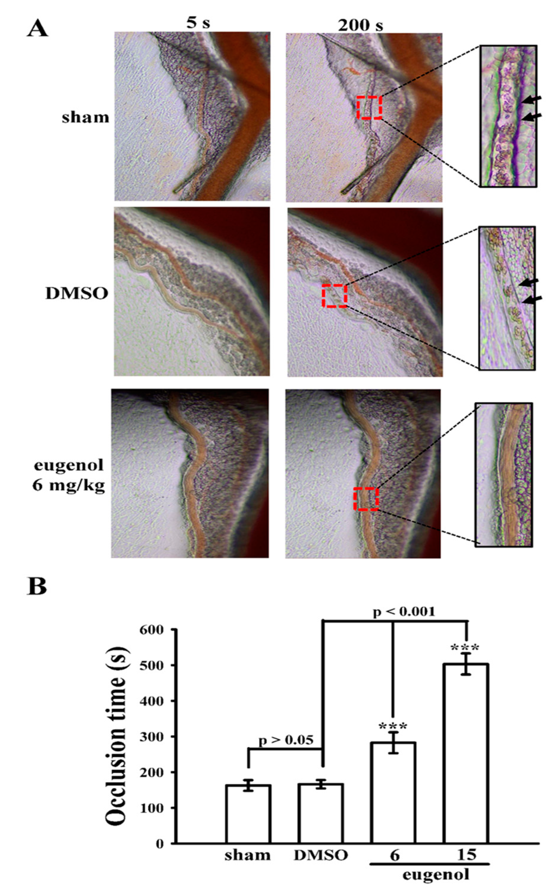 Biomedicines 12 01689 g006