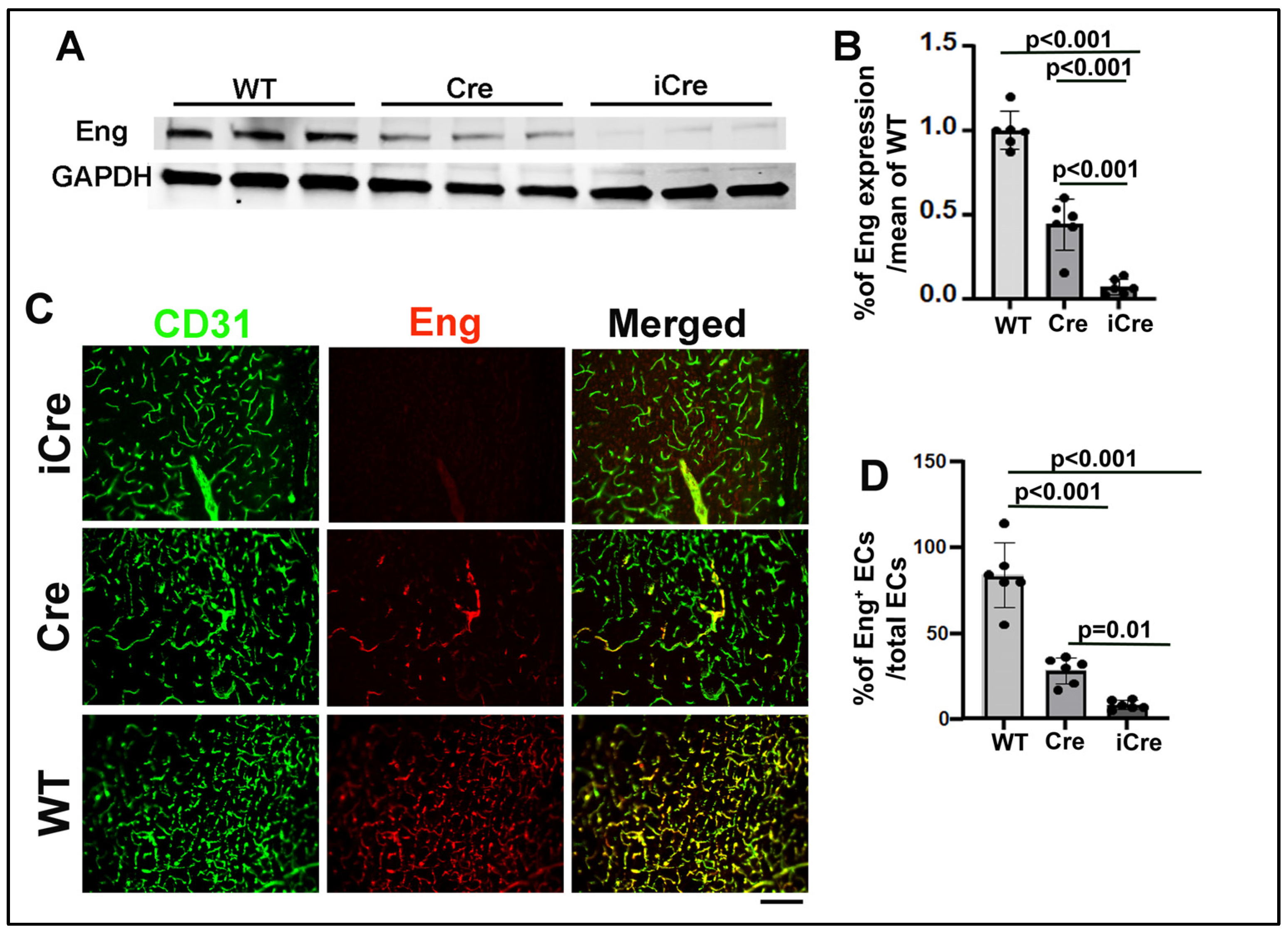 Biomedicines 12 01691 g002 Biomedicines 12 01691 g002