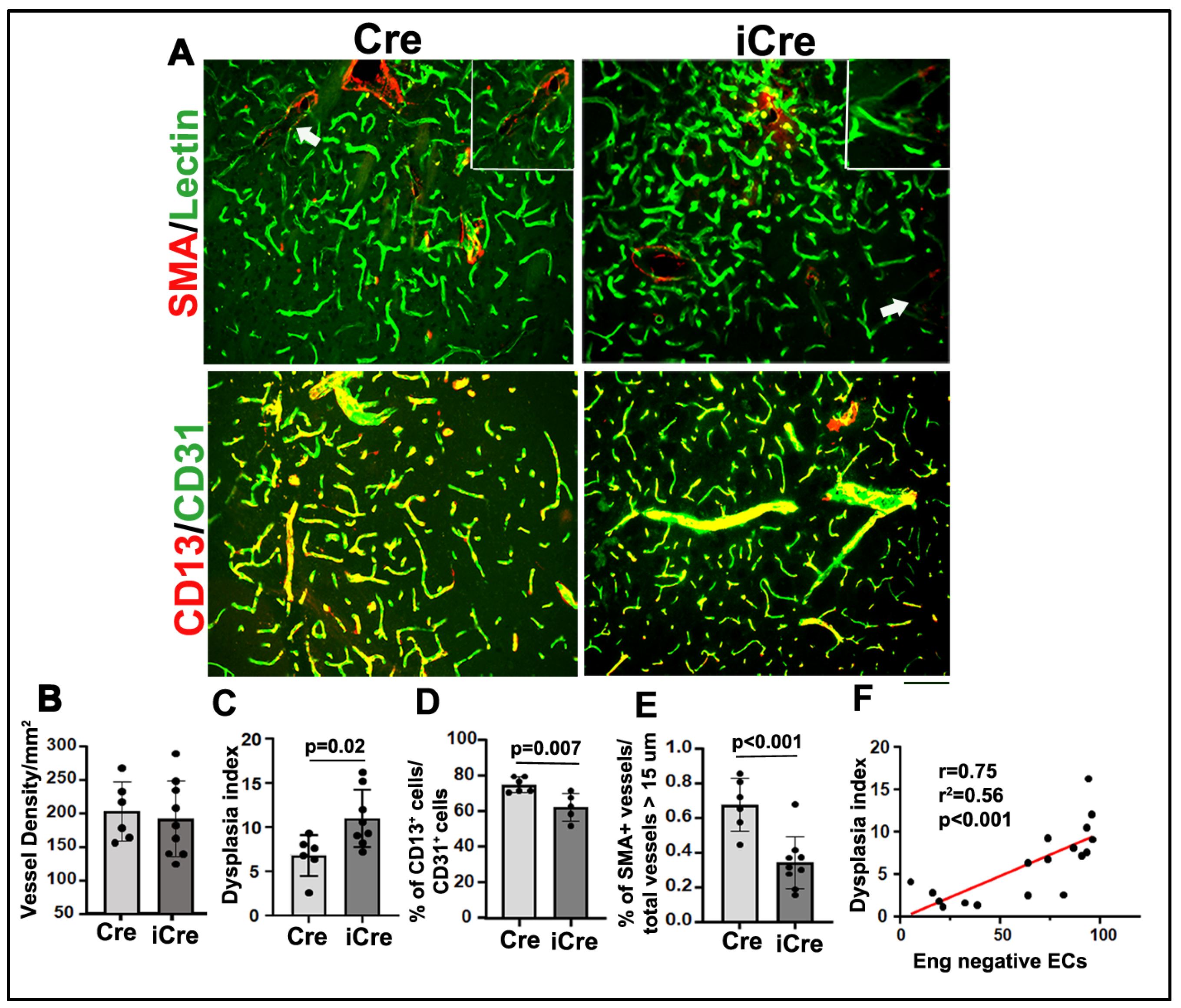 Biomedicines 12 01691 g003 Biomedicines 12 01691 g003