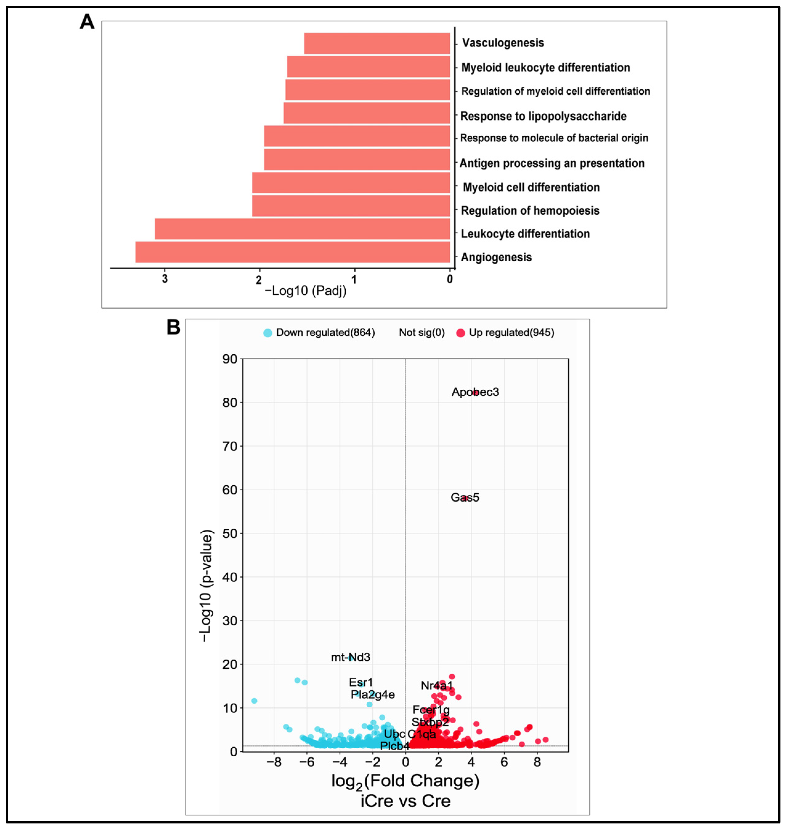 Biomedicines 12 01691 g006 Biomedicines 12 01691 g006