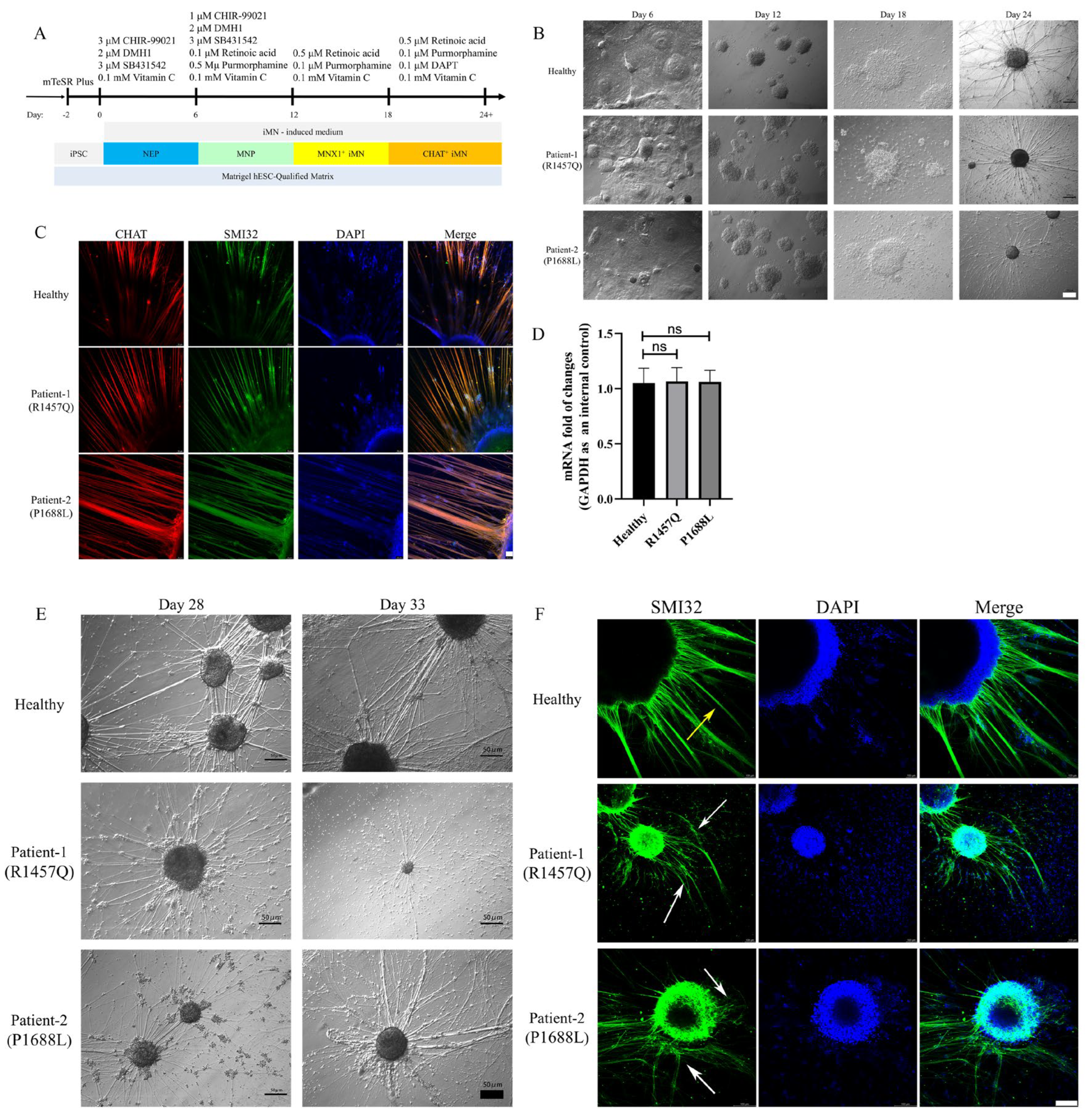 Biomedicines 12 01693 g002
