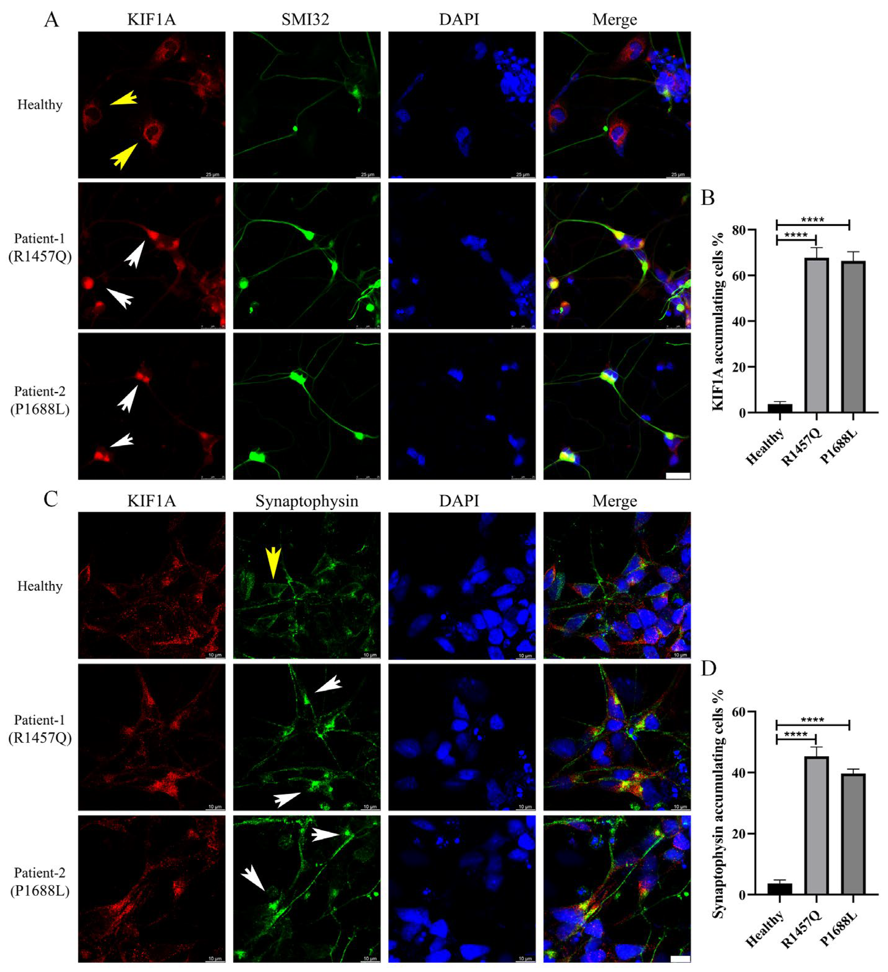 Biomedicines 12 01693 g005