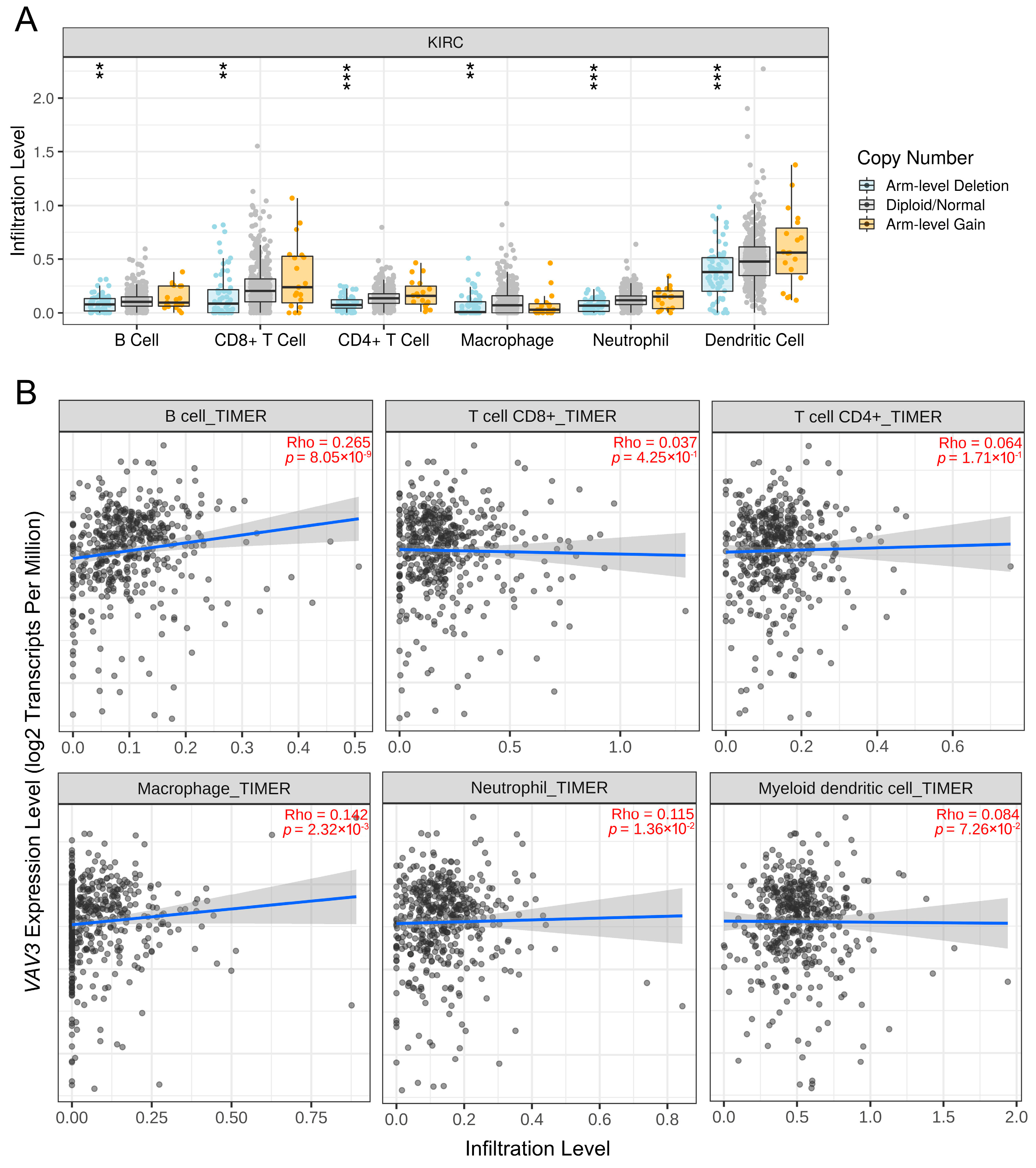 Biomedicines 12 01694 g004