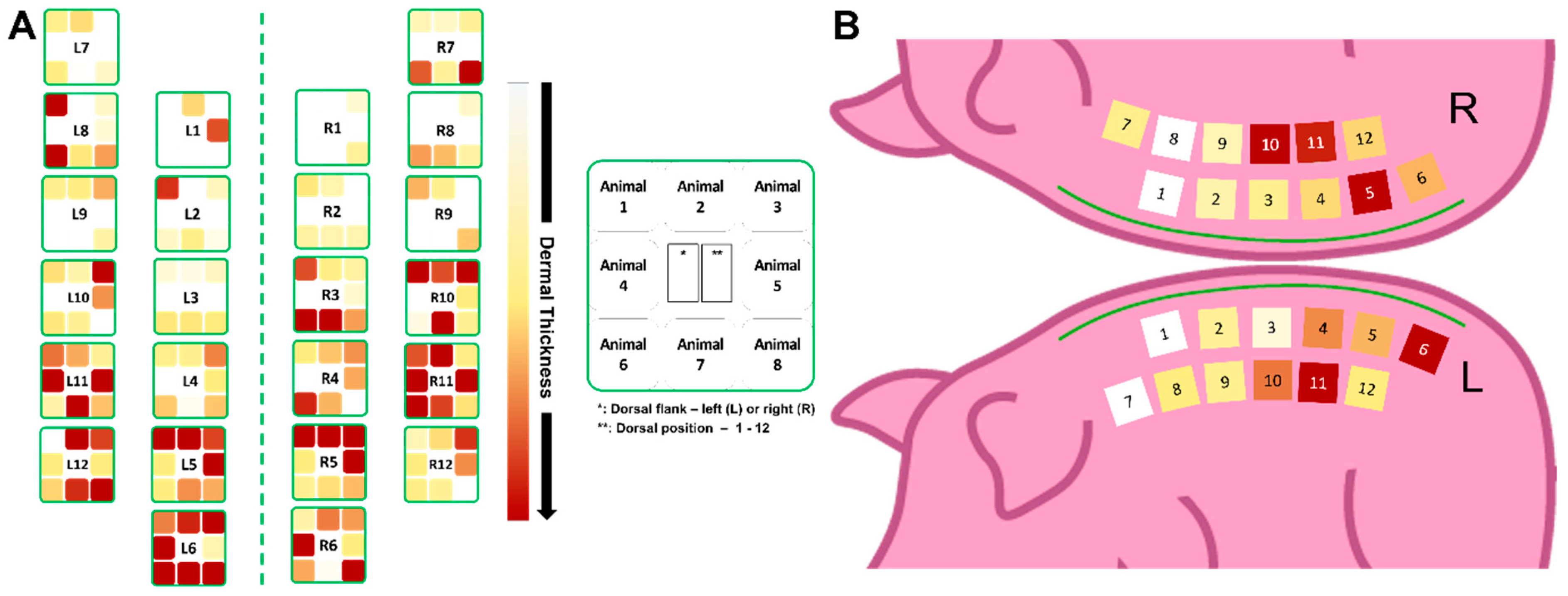 Biomedicines 12 01697 g005