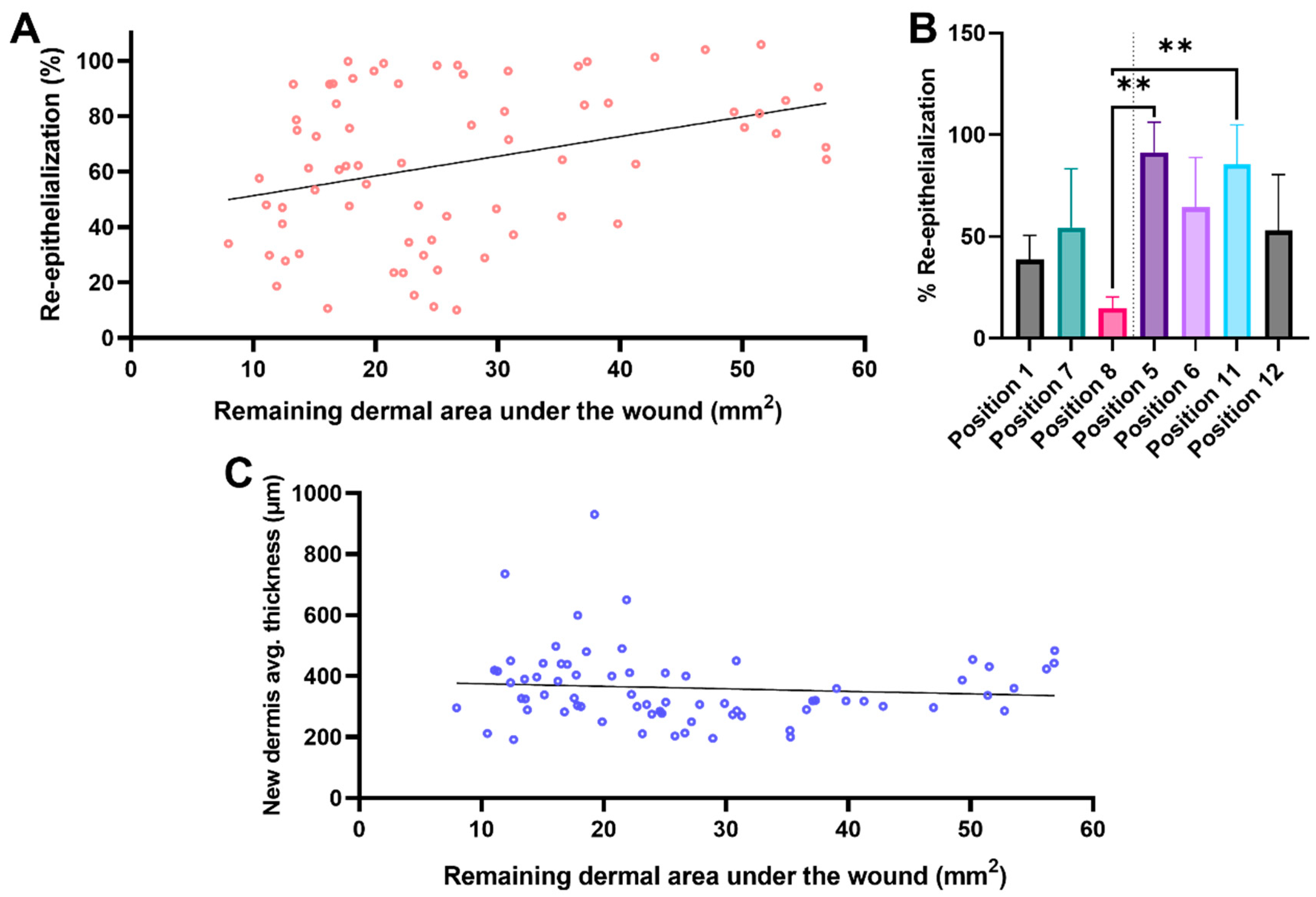 Biomedicines 12 01697 g006