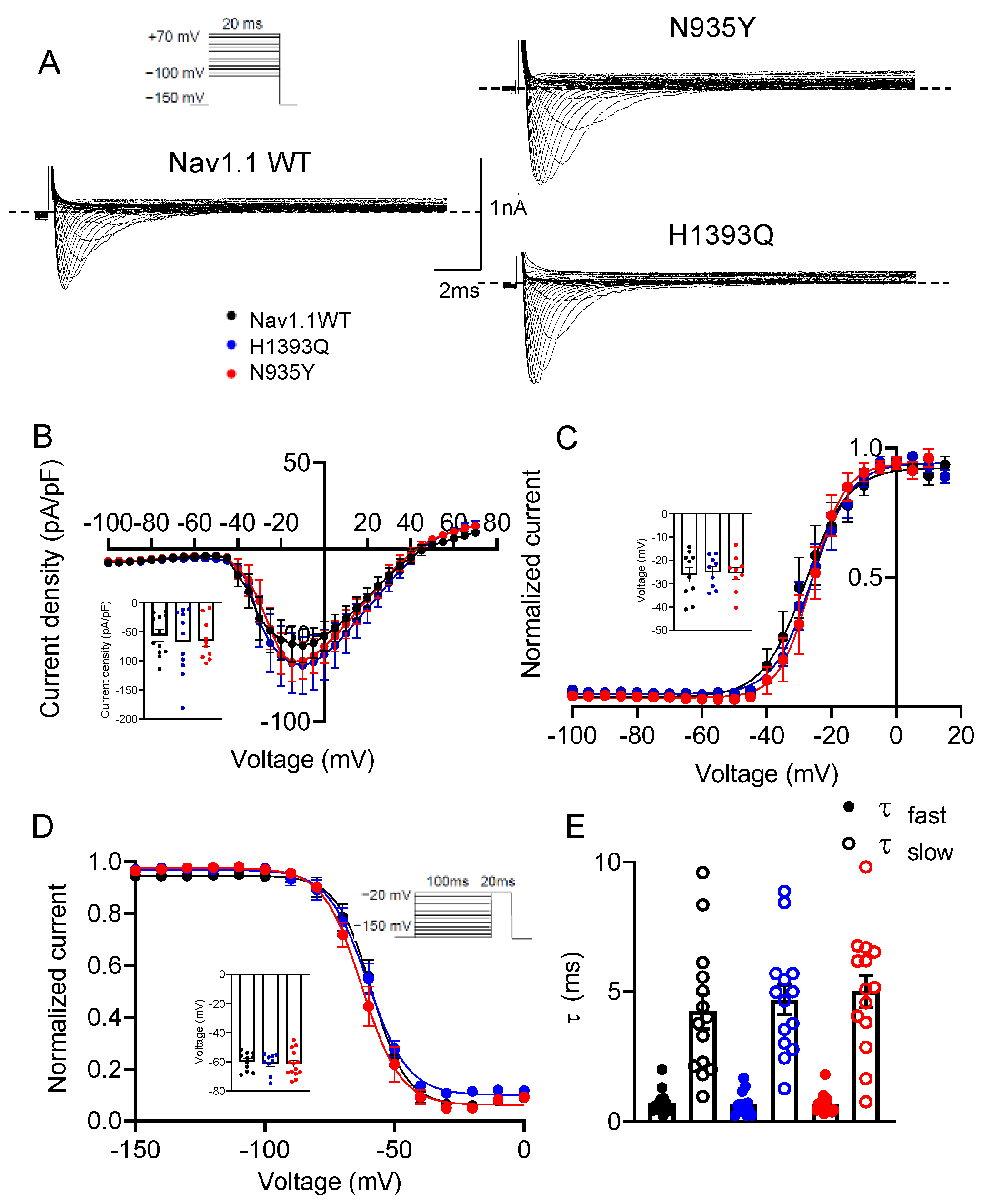 Biomedicines 12 01698 g003