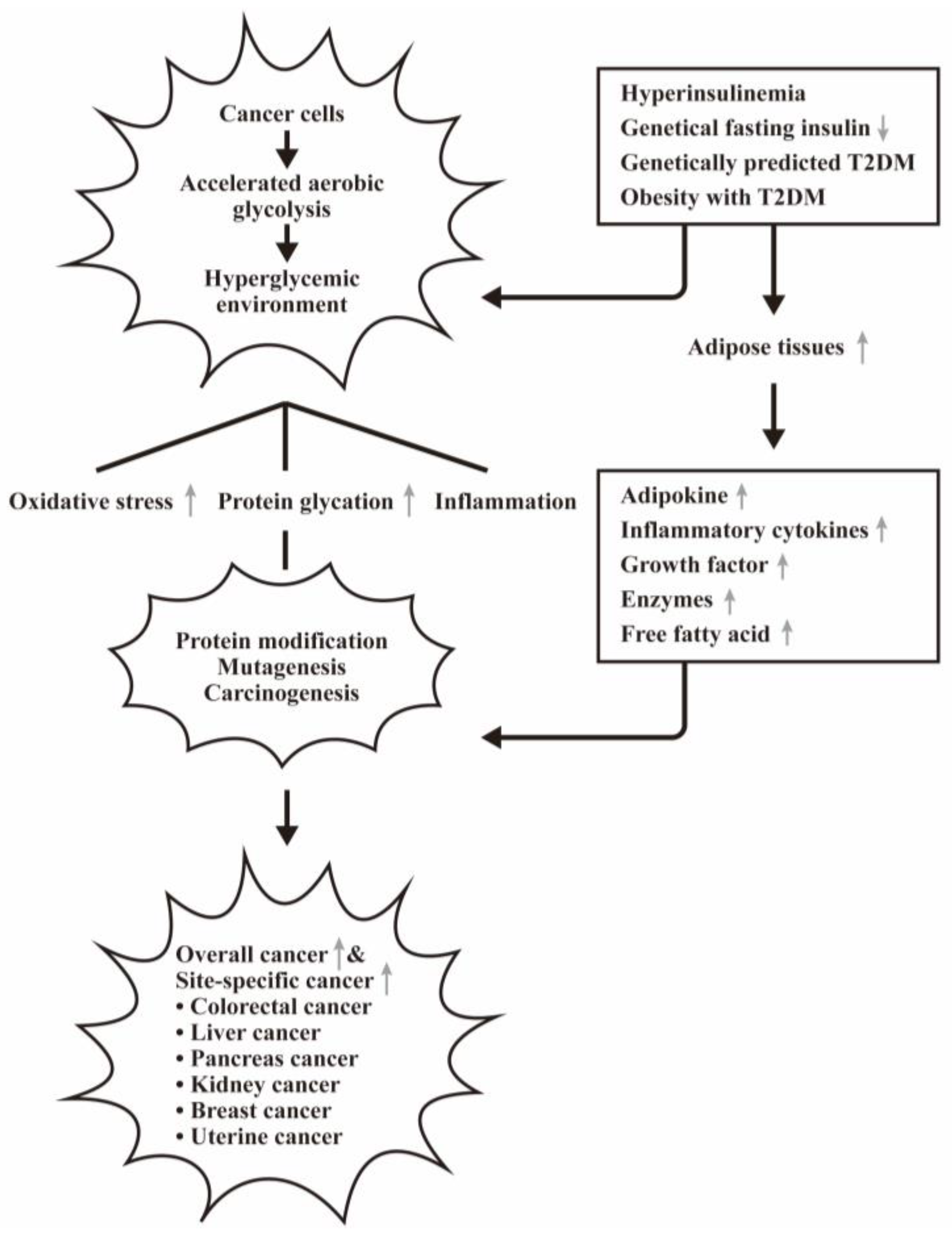 Biomedicines 12 01699 g005