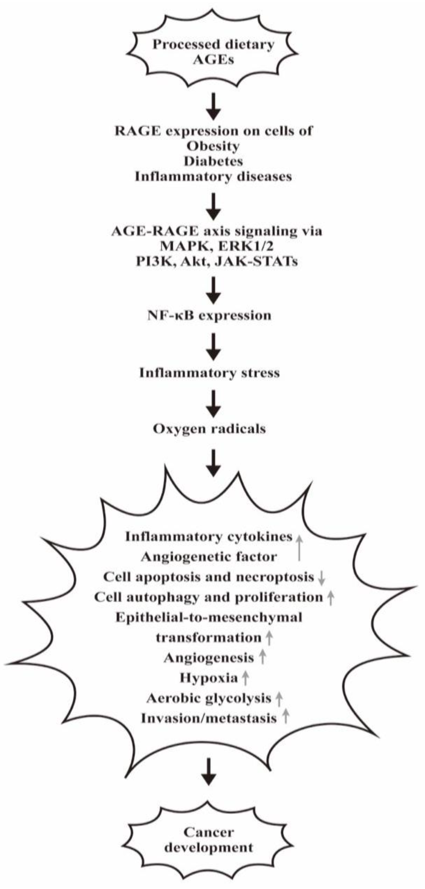 Biomedicines 12 01699 g006