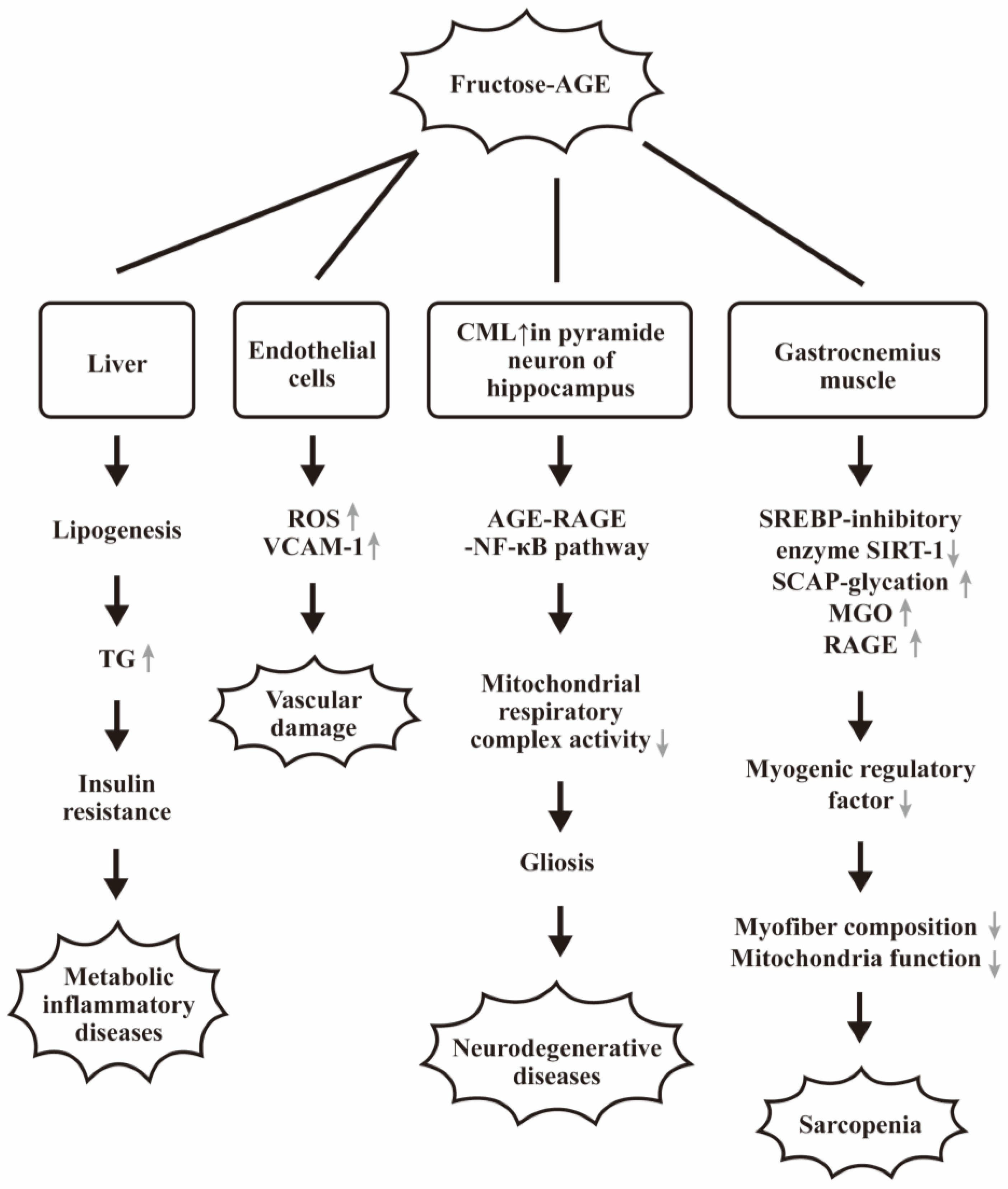 Biomedicines 12 01699 g007