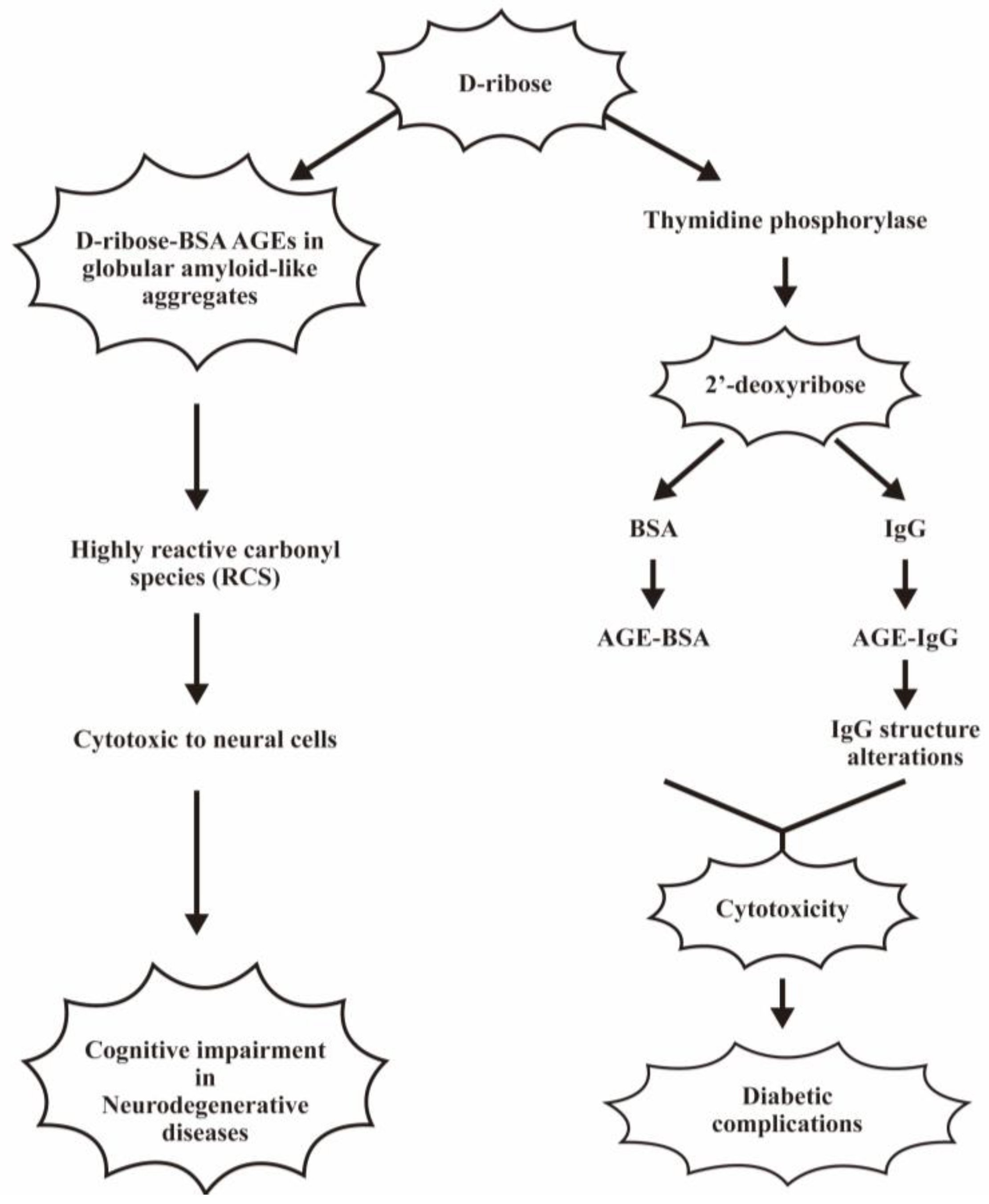Biomedicines 12 01699 g008