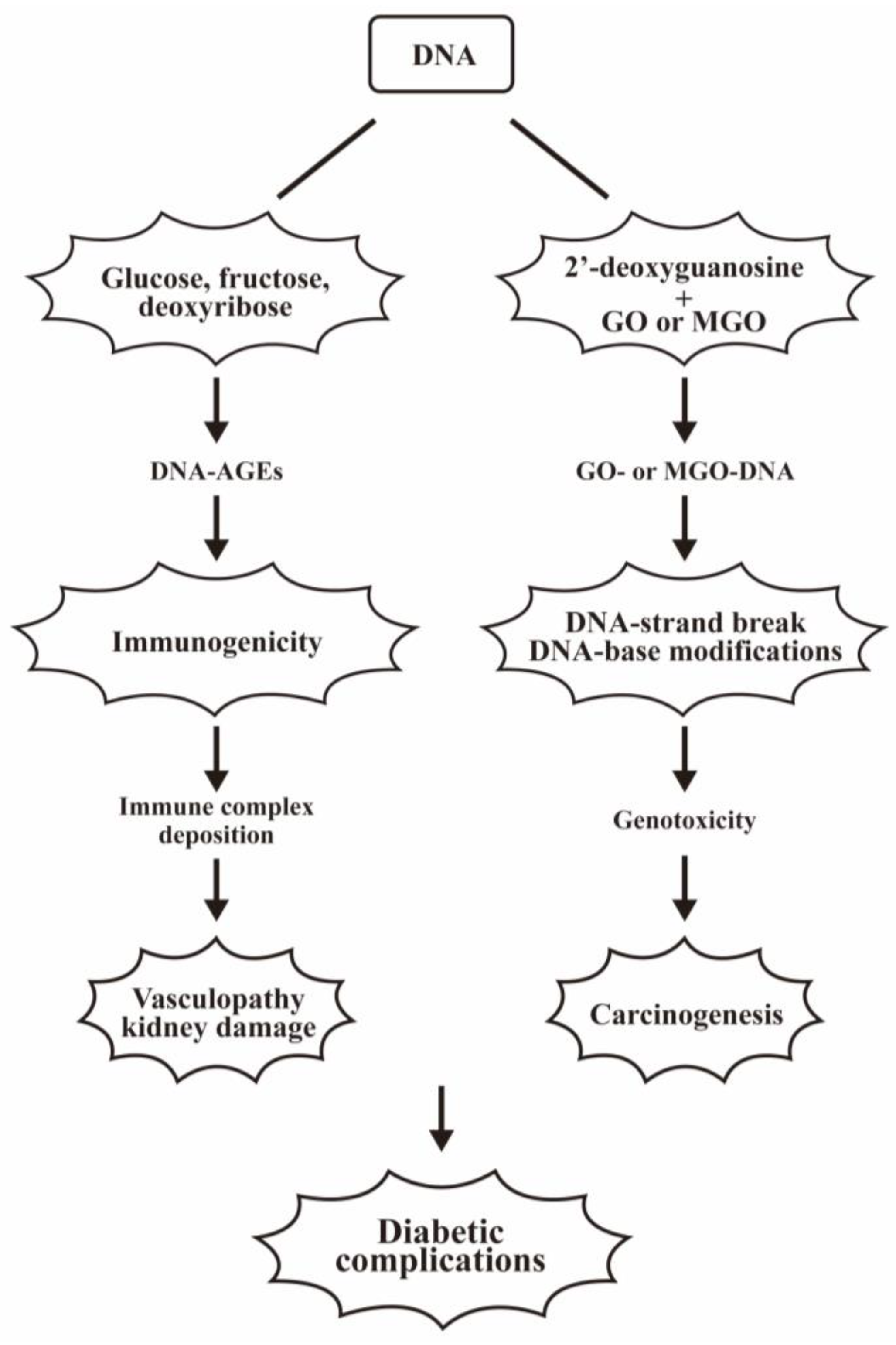 Biomedicines 12 01699 g010