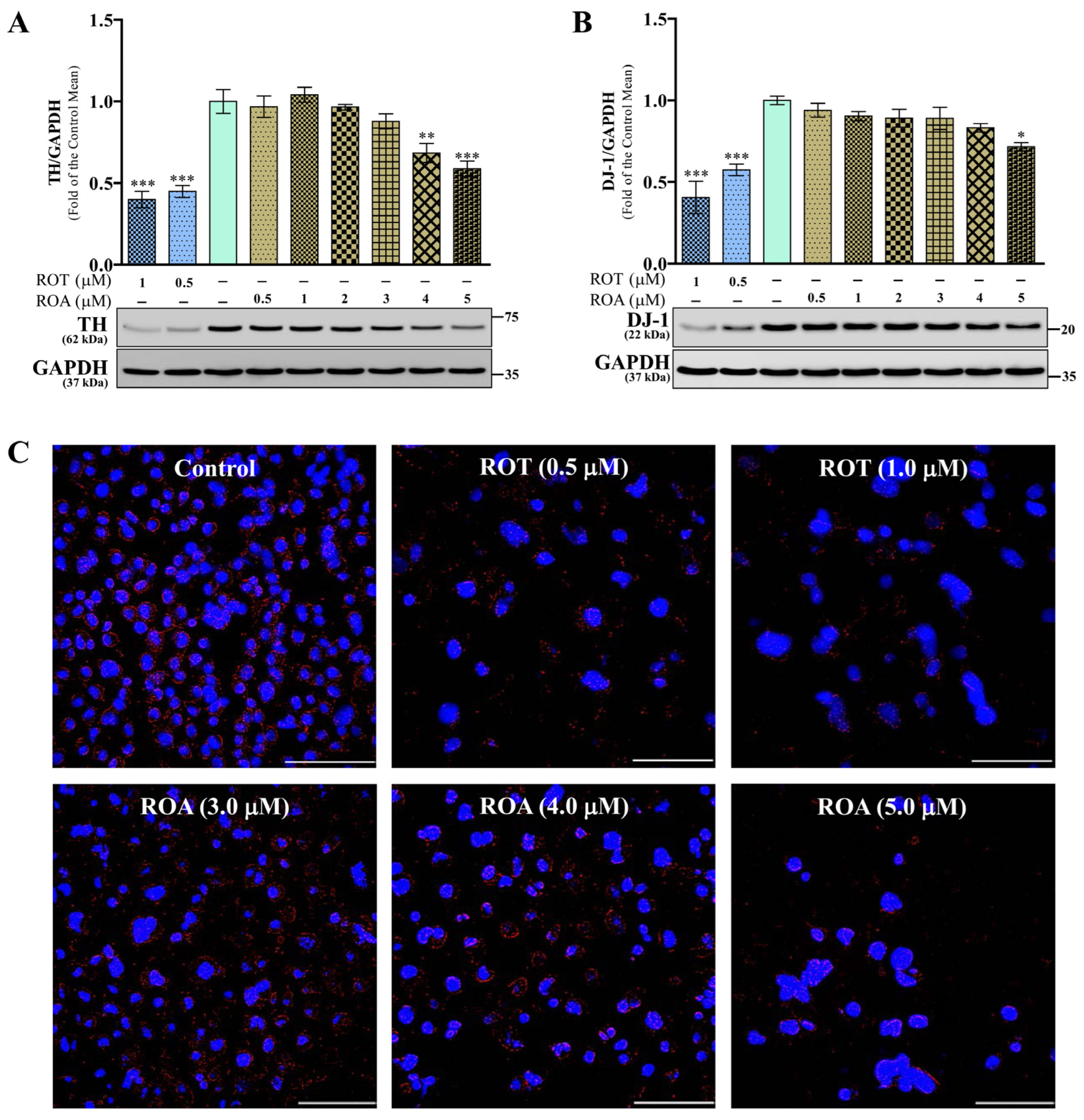 Biomedicines 12 01703 g003