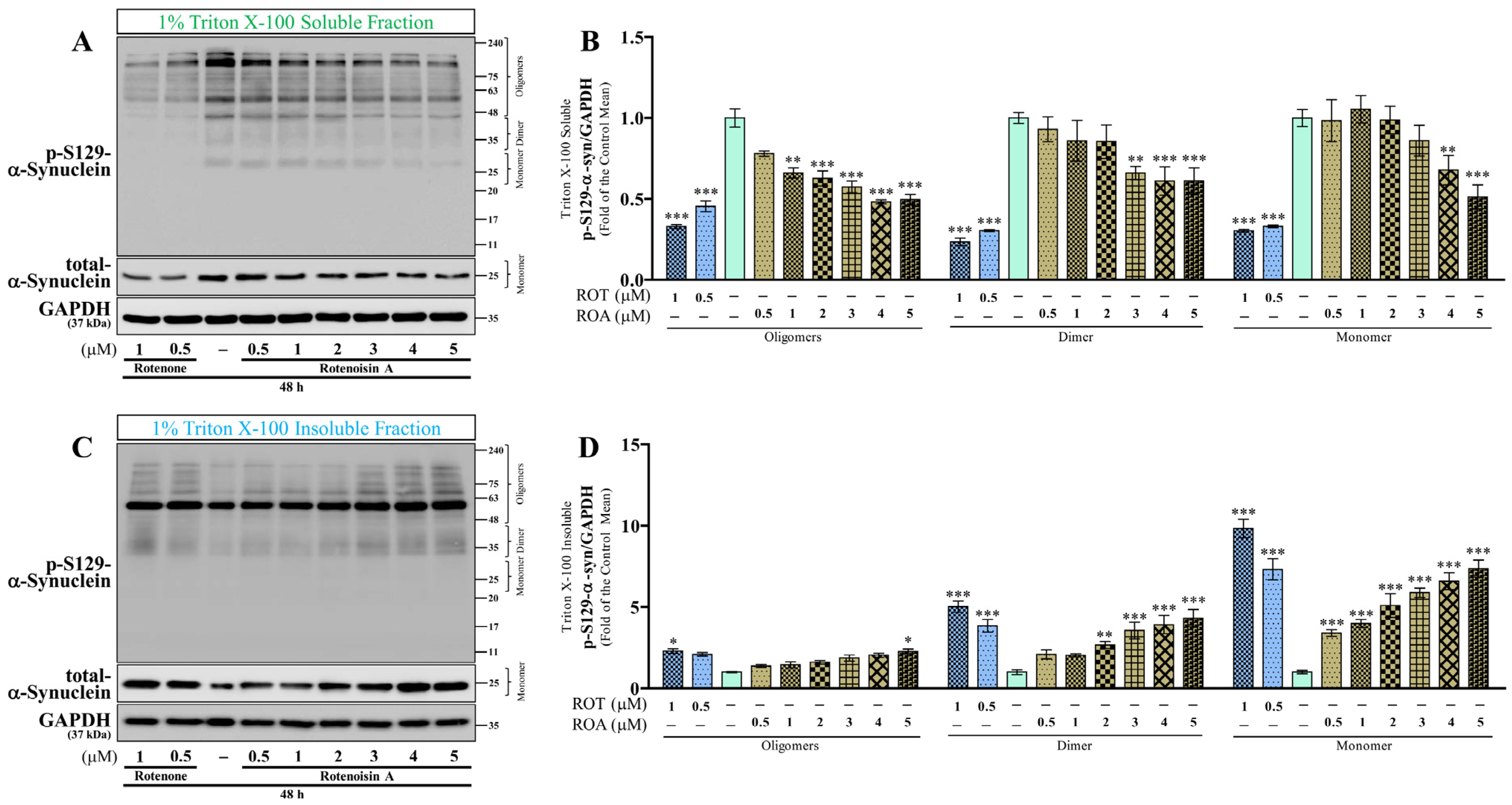 Biomedicines 12 01703 g004