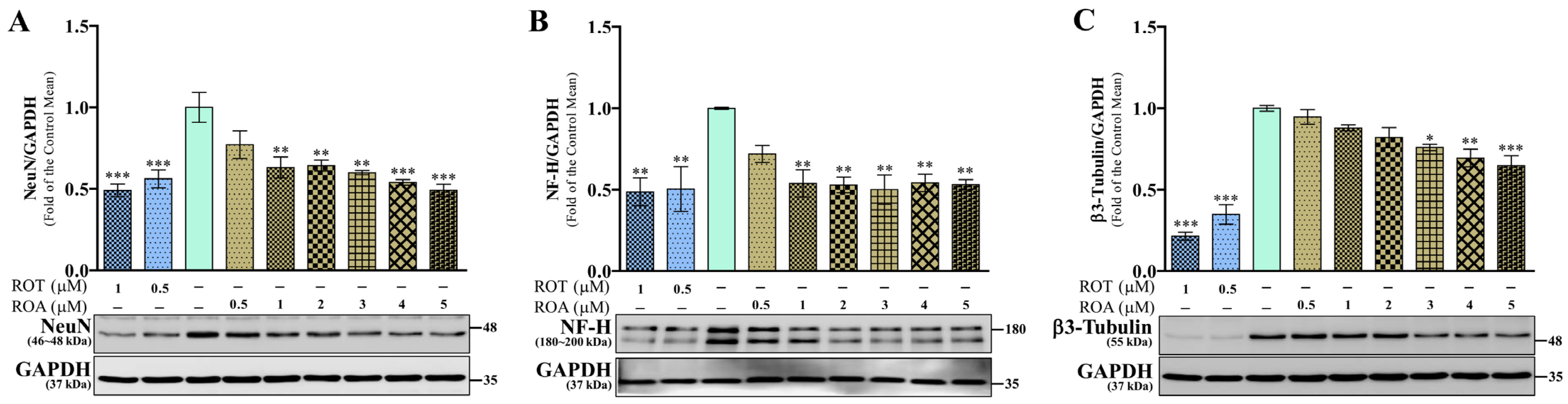 Biomedicines 12 01703 g005