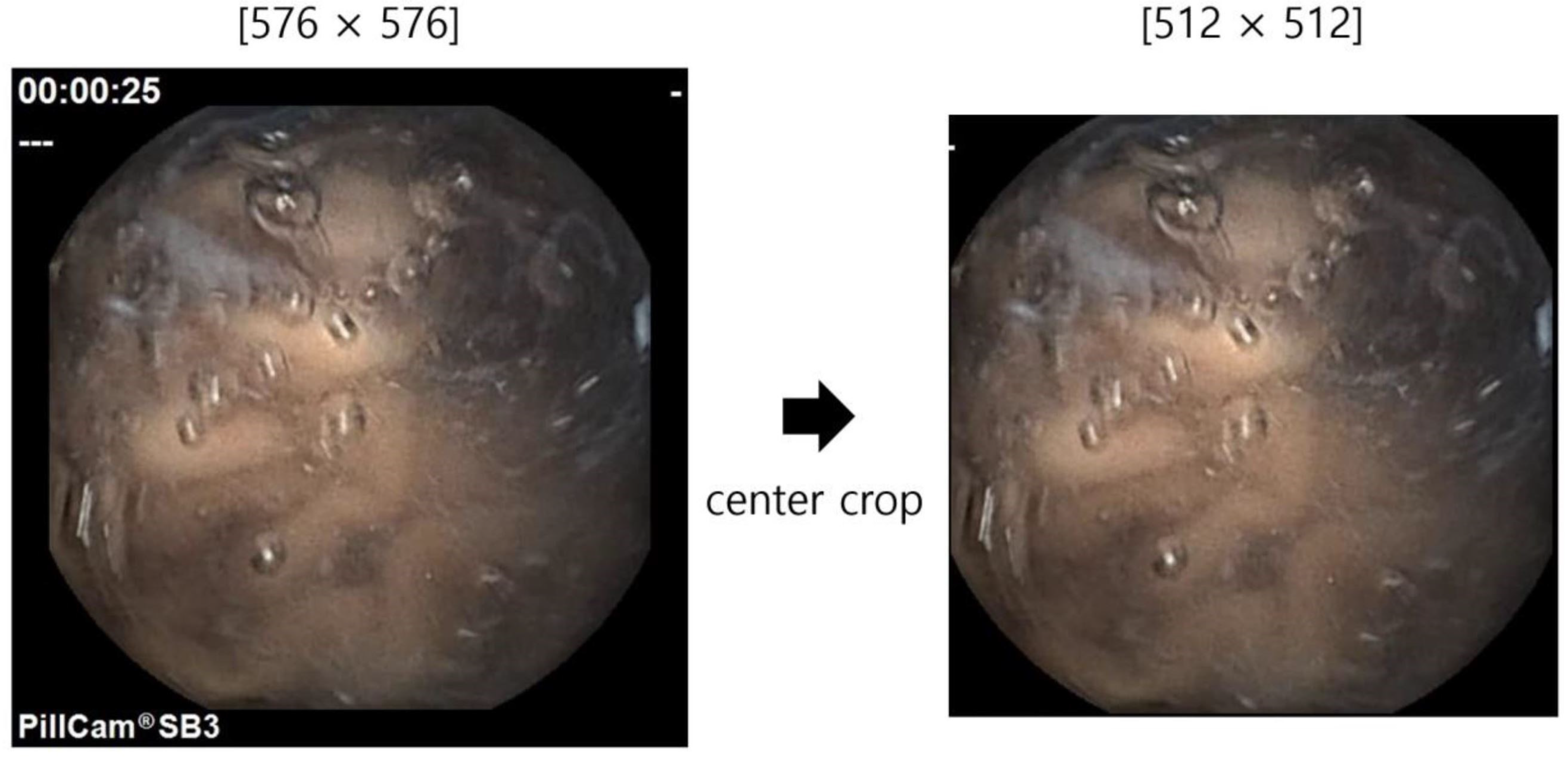 Biomedicines 12 01704 g002