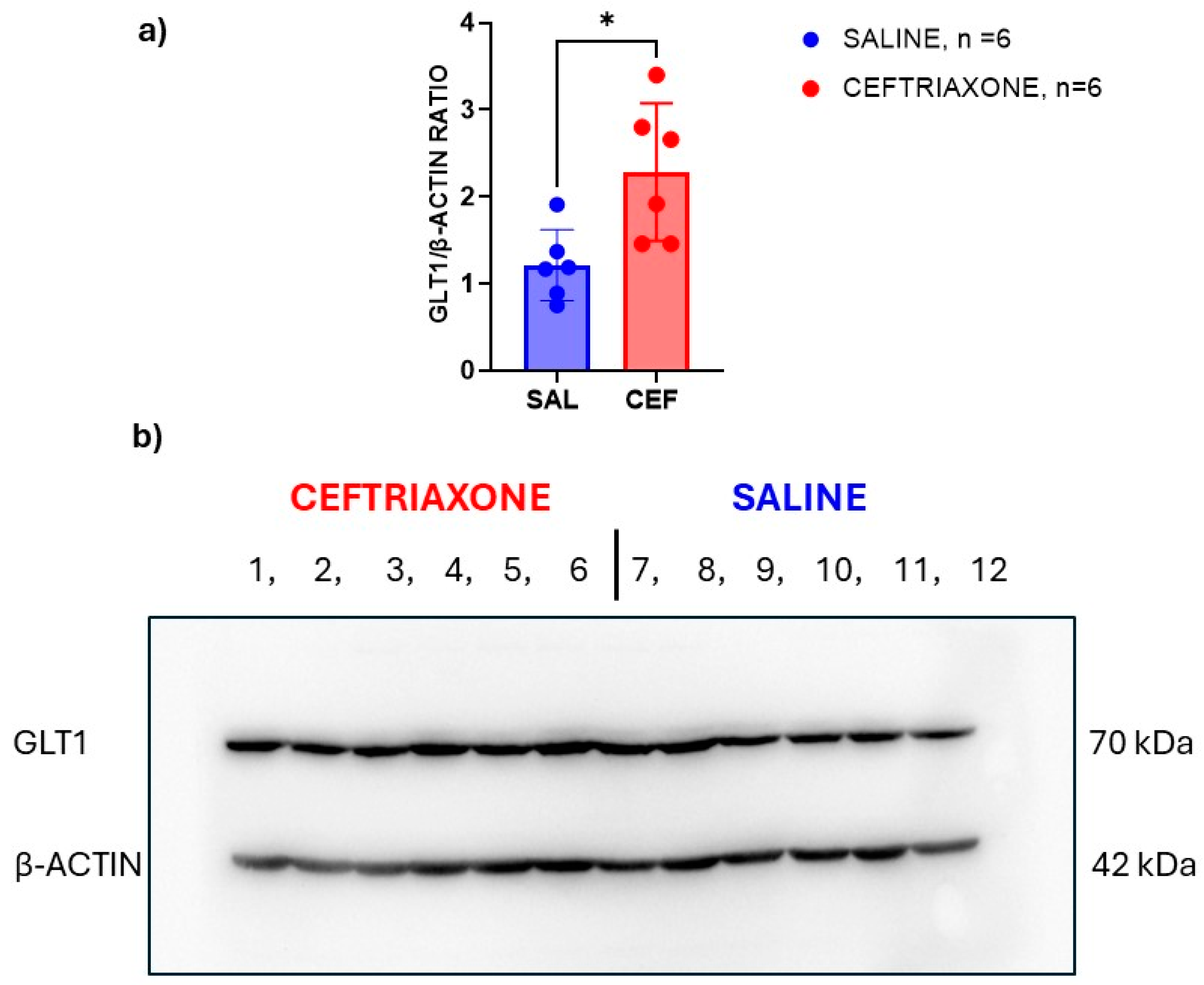 Biomedicines 12 01711 g003 Biomedicines 12 01711 g003