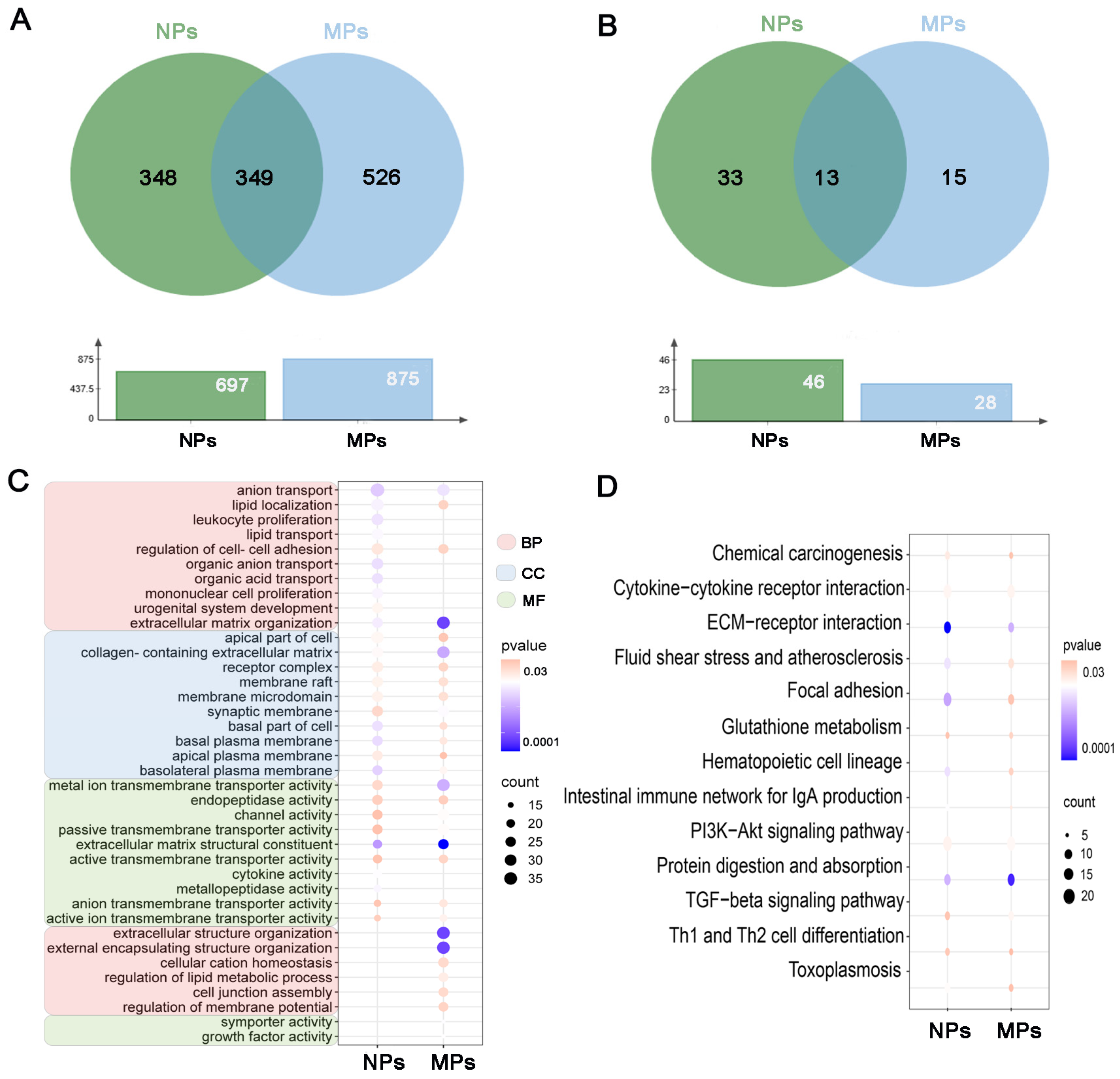 Biomedicines 12 01714 g004