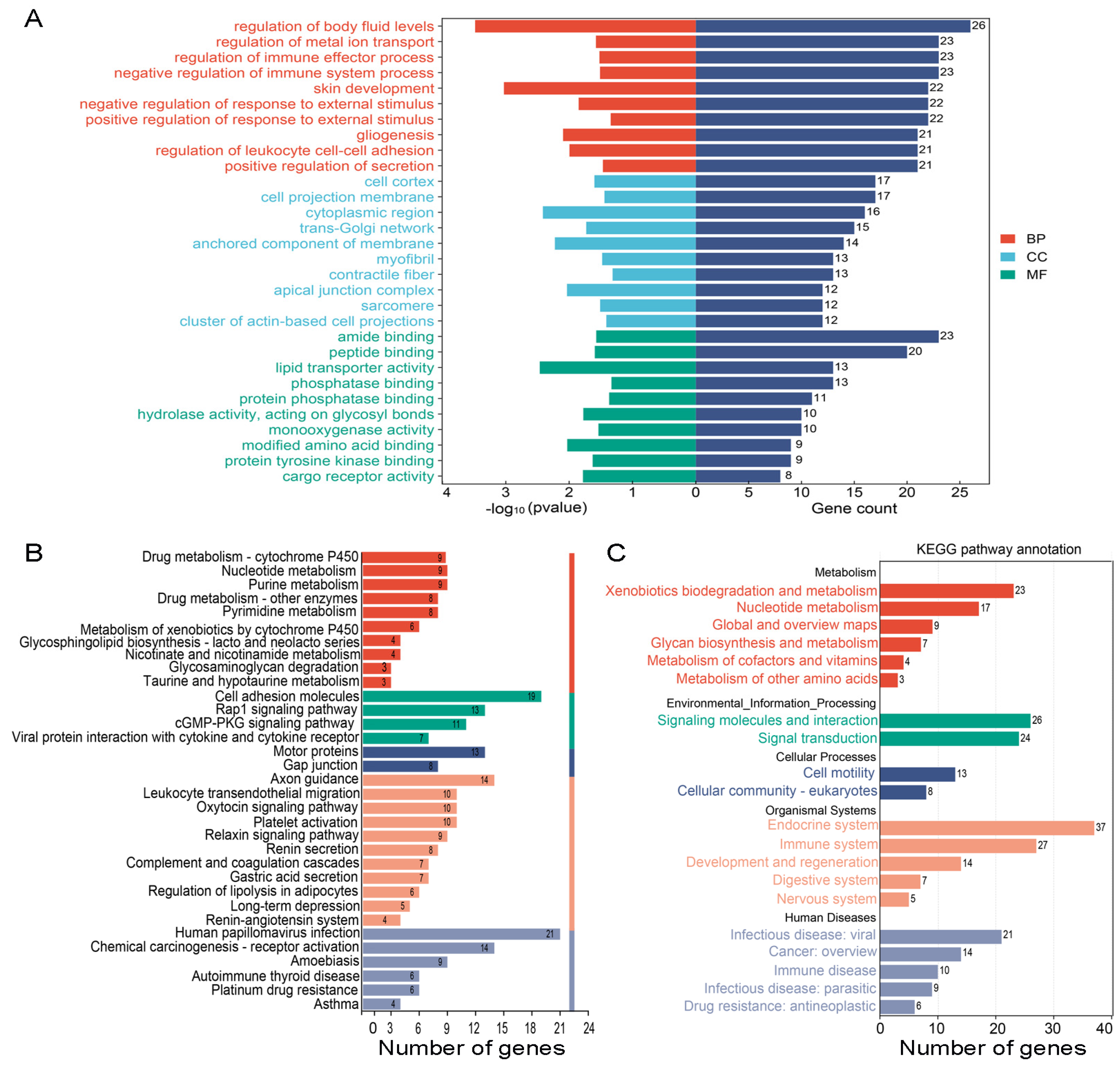 Biomedicines 12 01714 g005
