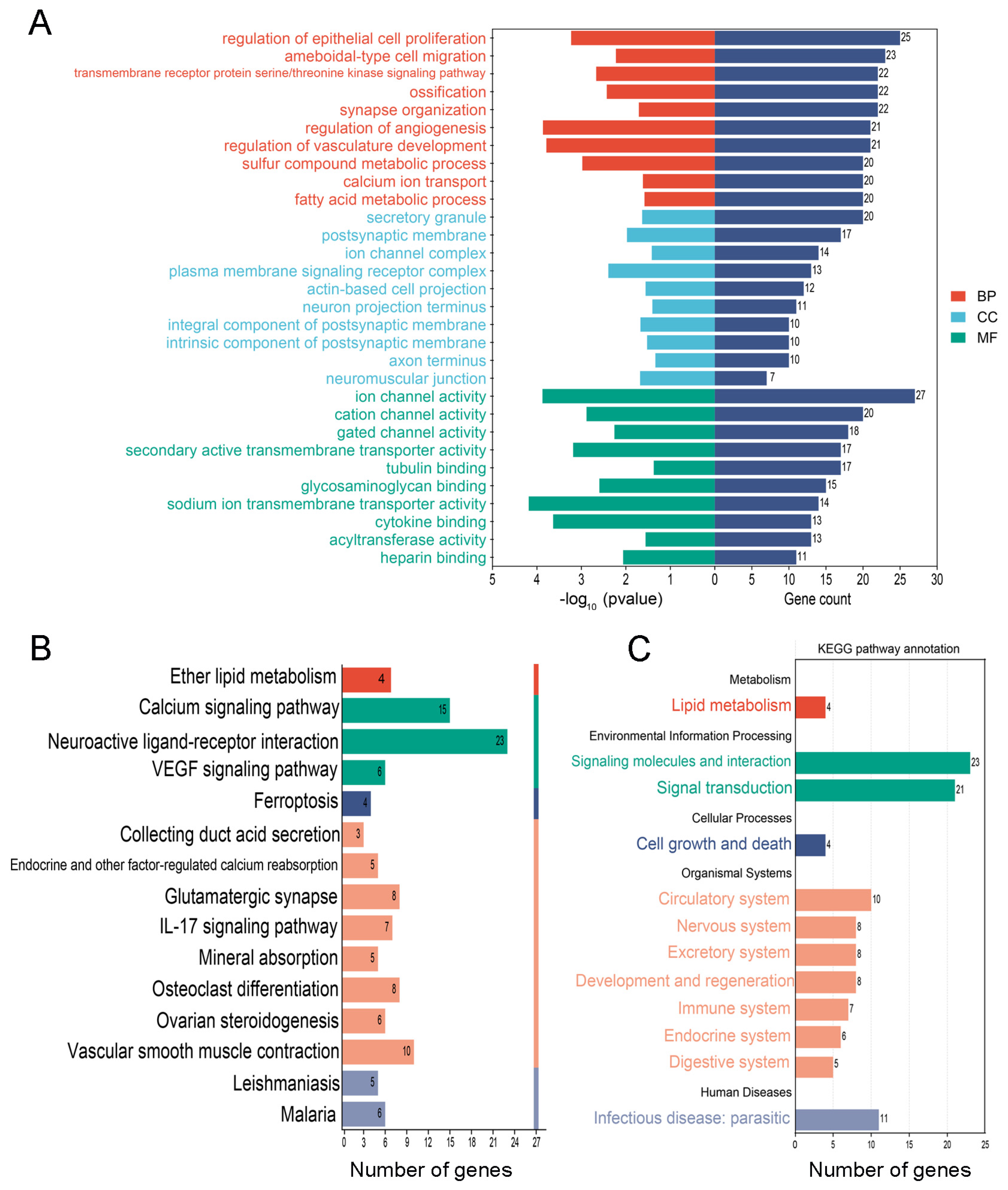 Biomedicines 12 01714 g006