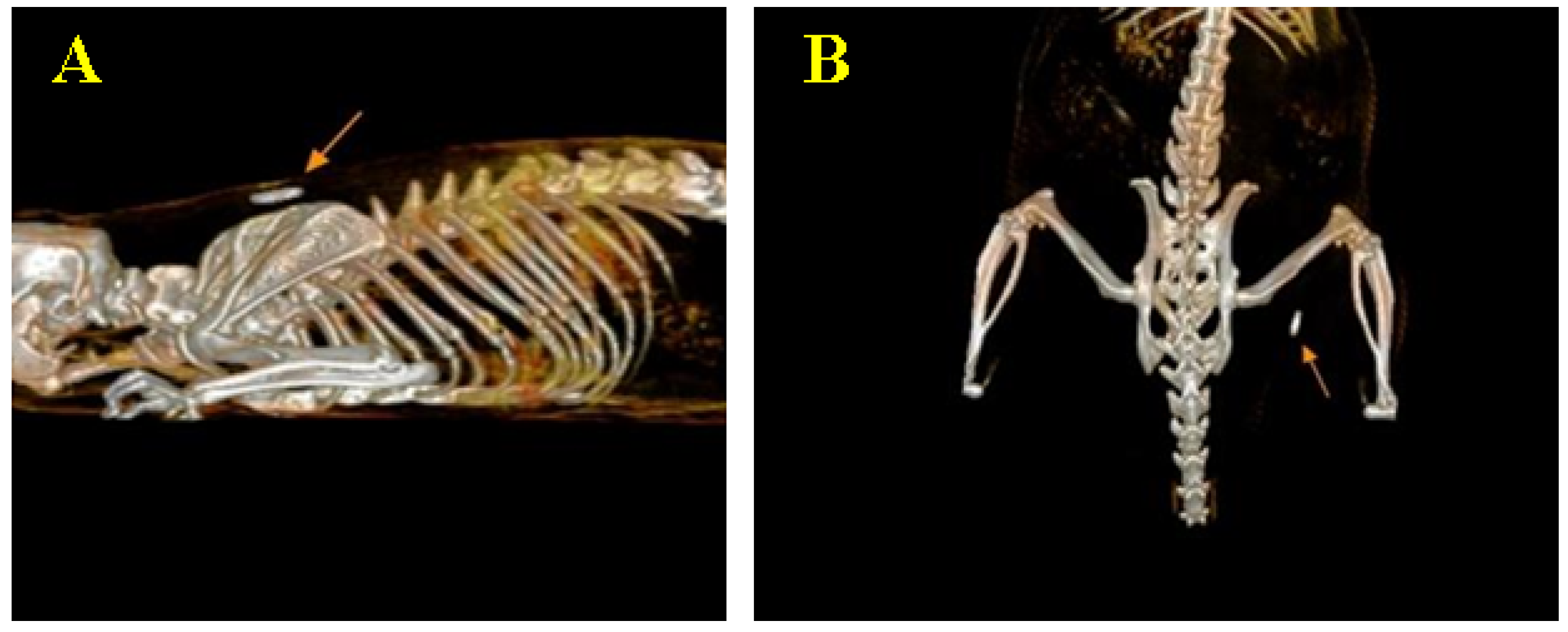 Biomedicines 12 01718 g007