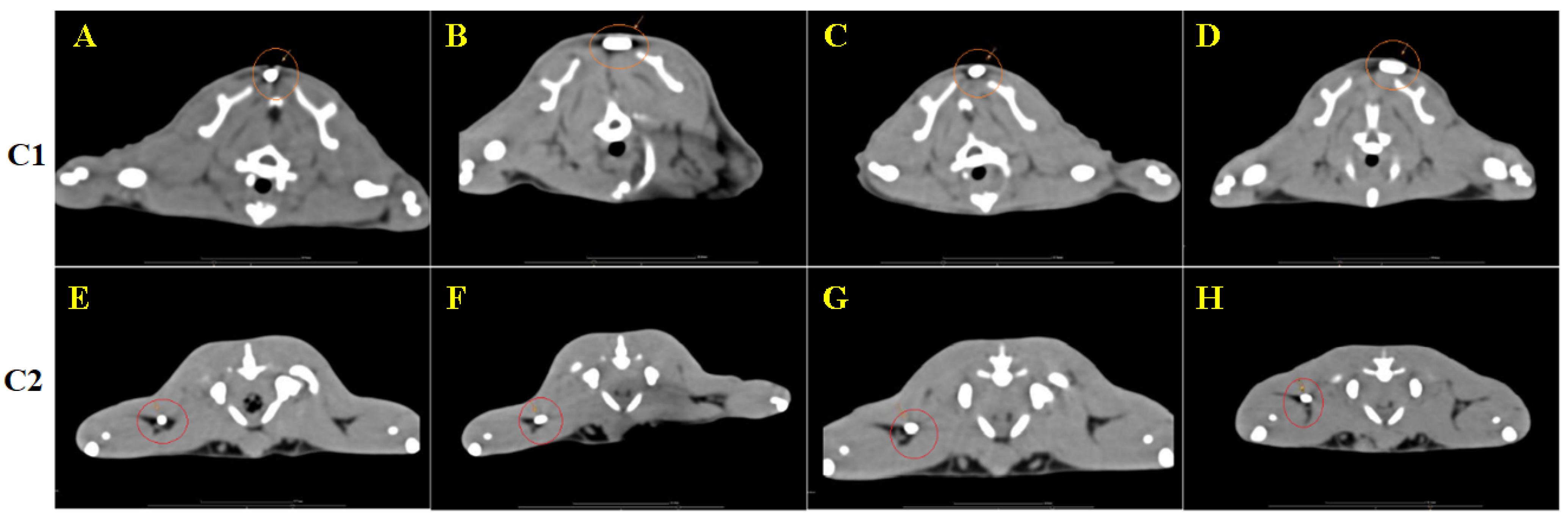 Biomedicines 12 01718 g008