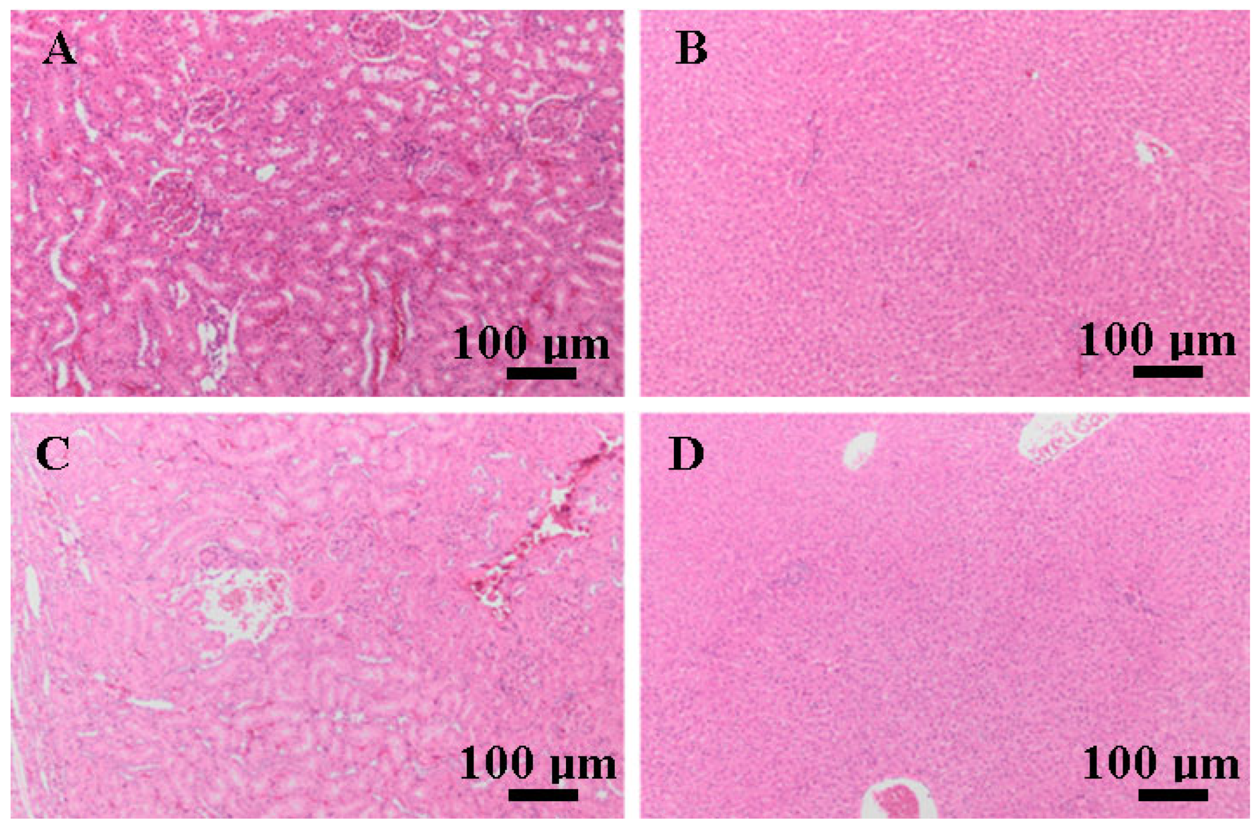 Biomedicines 12 01718 g011