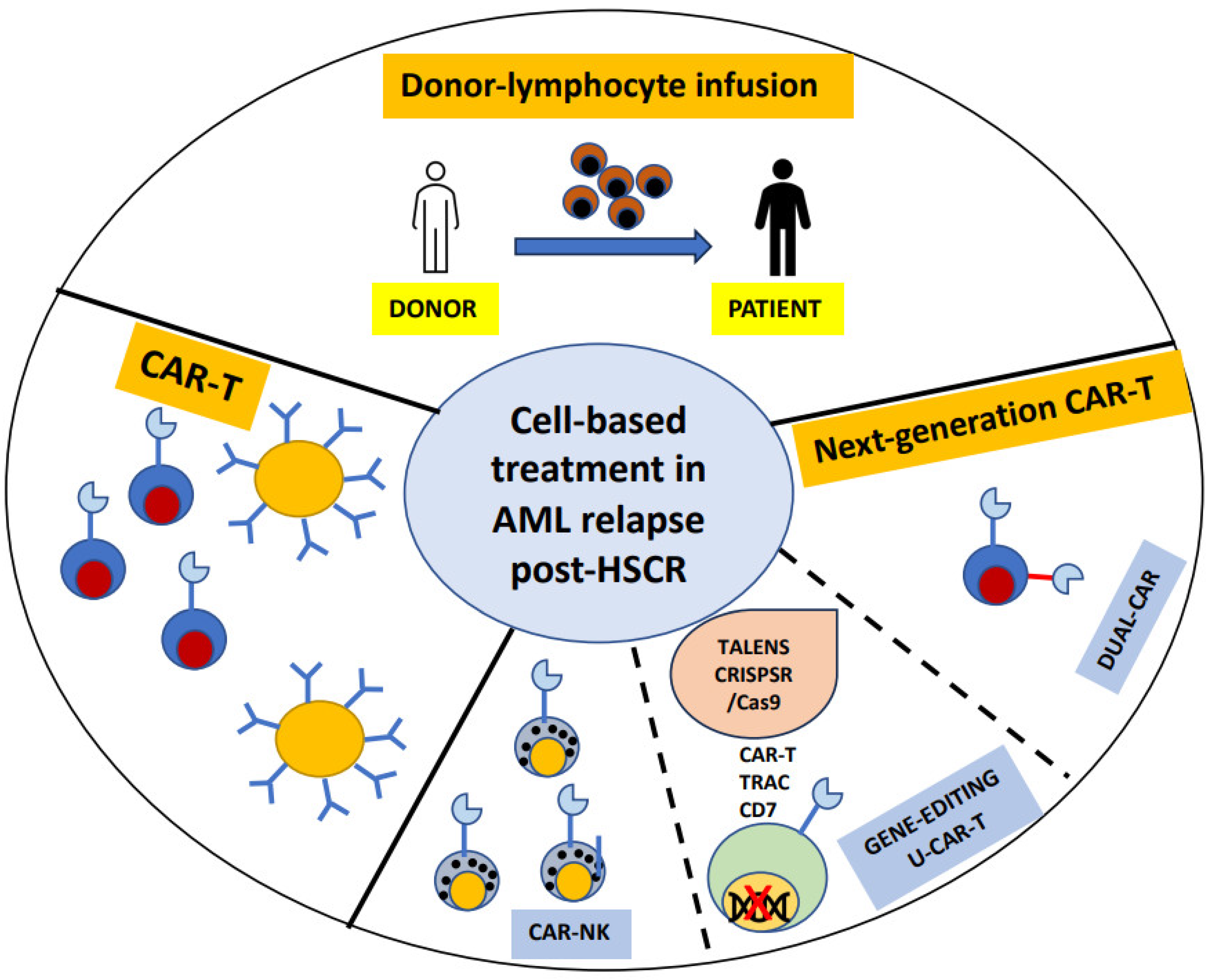 Biomedicines 12 01721 g001