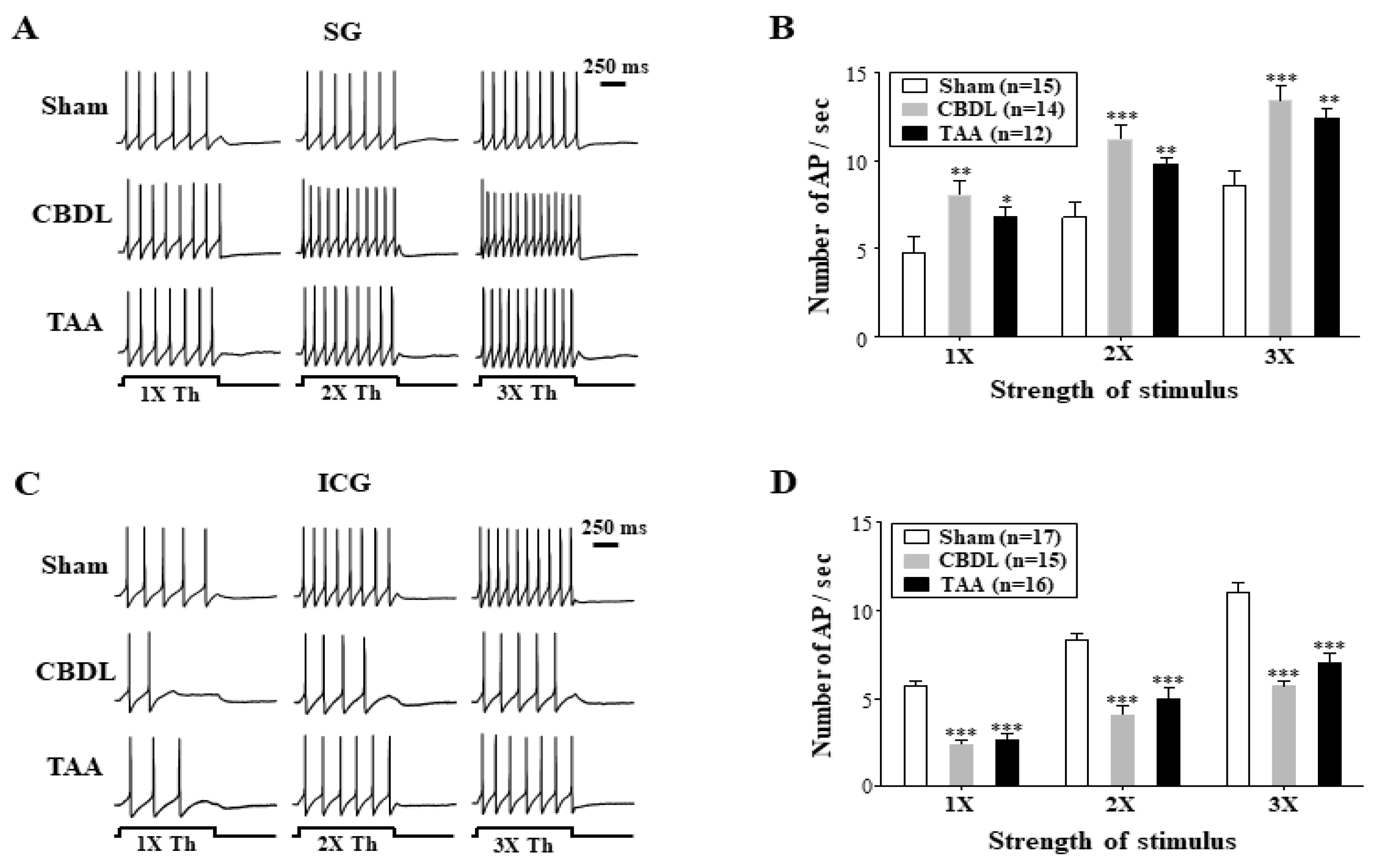 Biomedicines 12 01722 g003